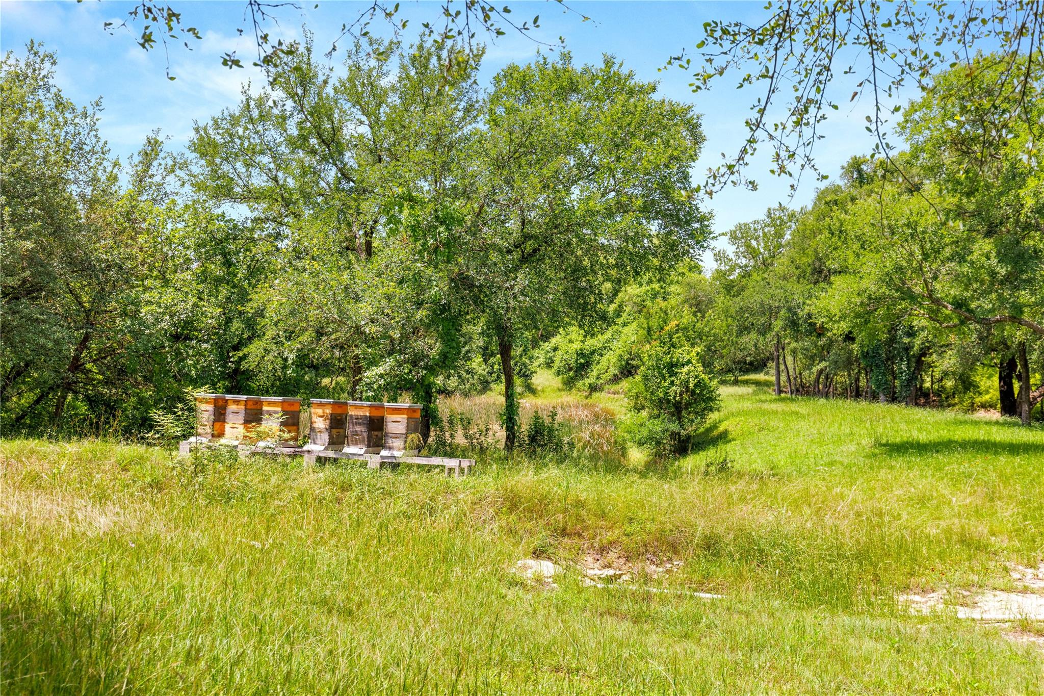 main property photo 12