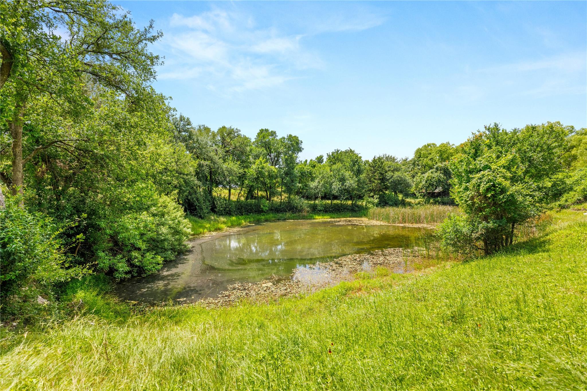 main property photo 21