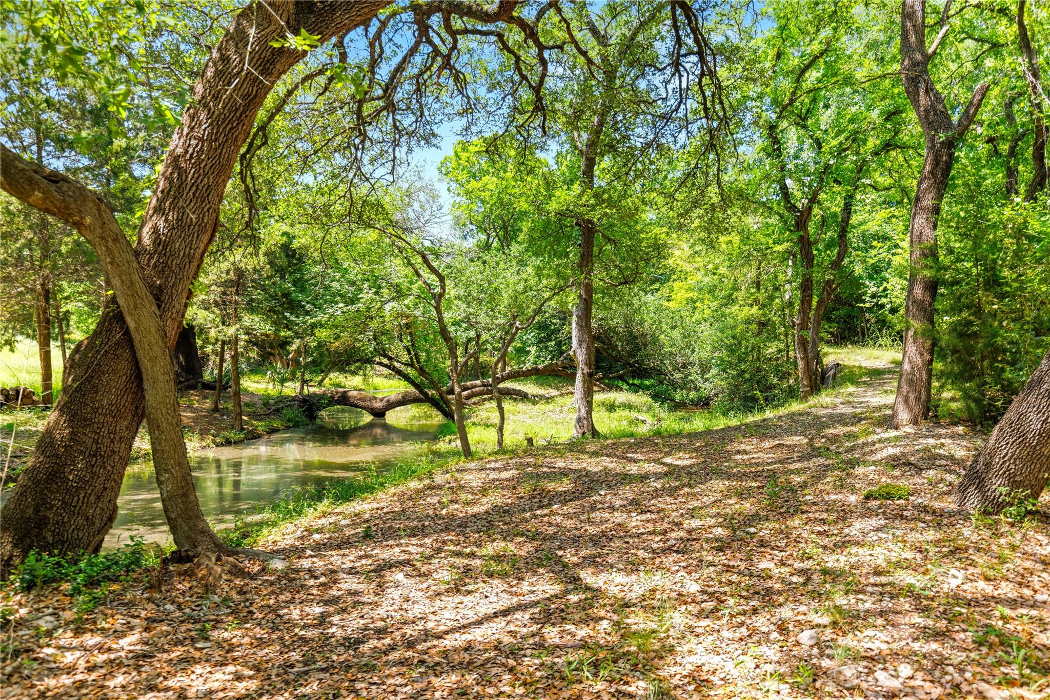 main property photo 24