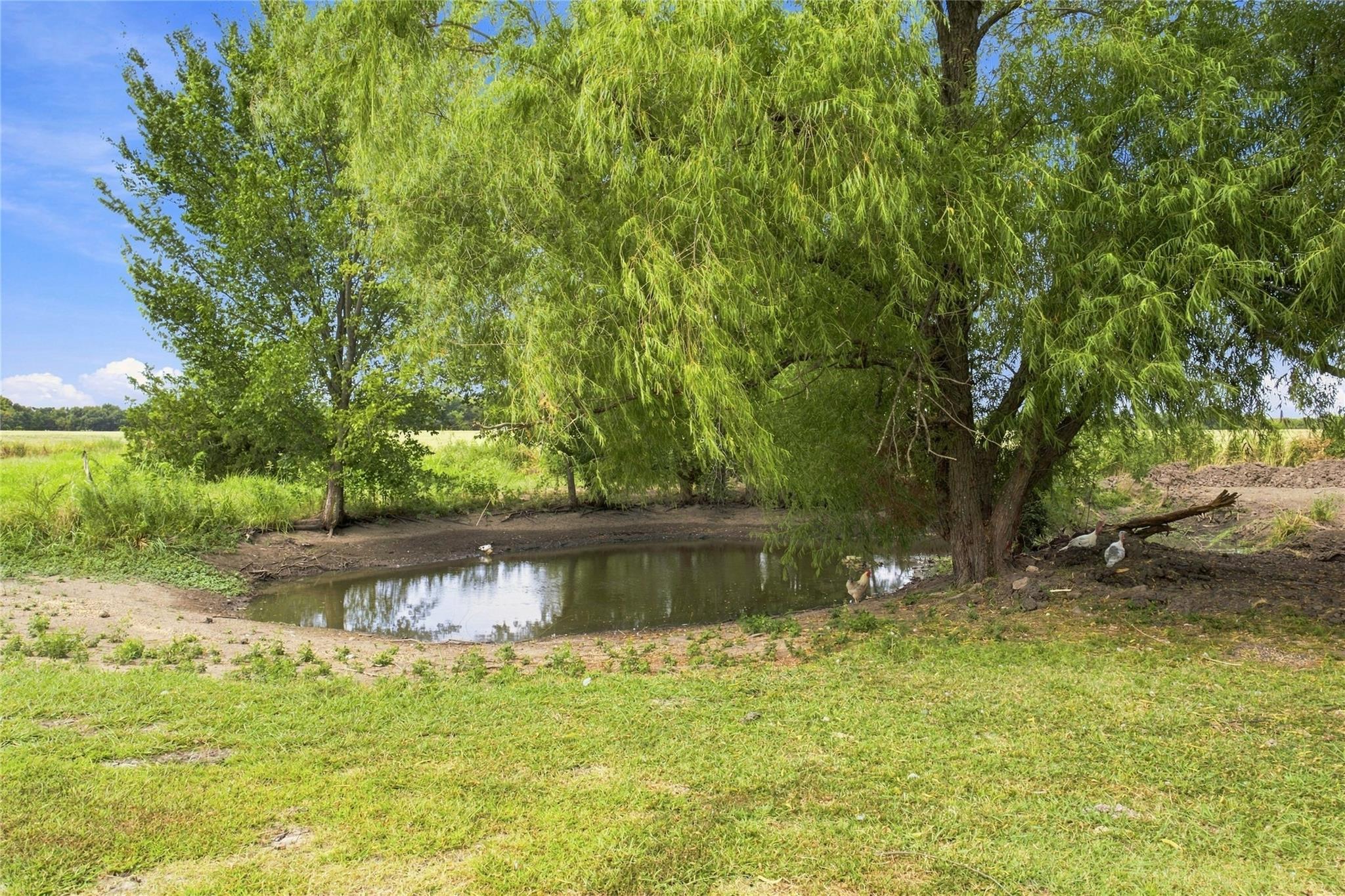 main property photo 24
