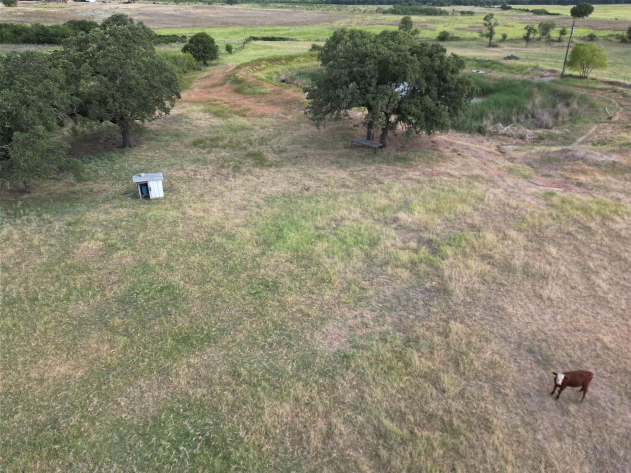 main property photo 29