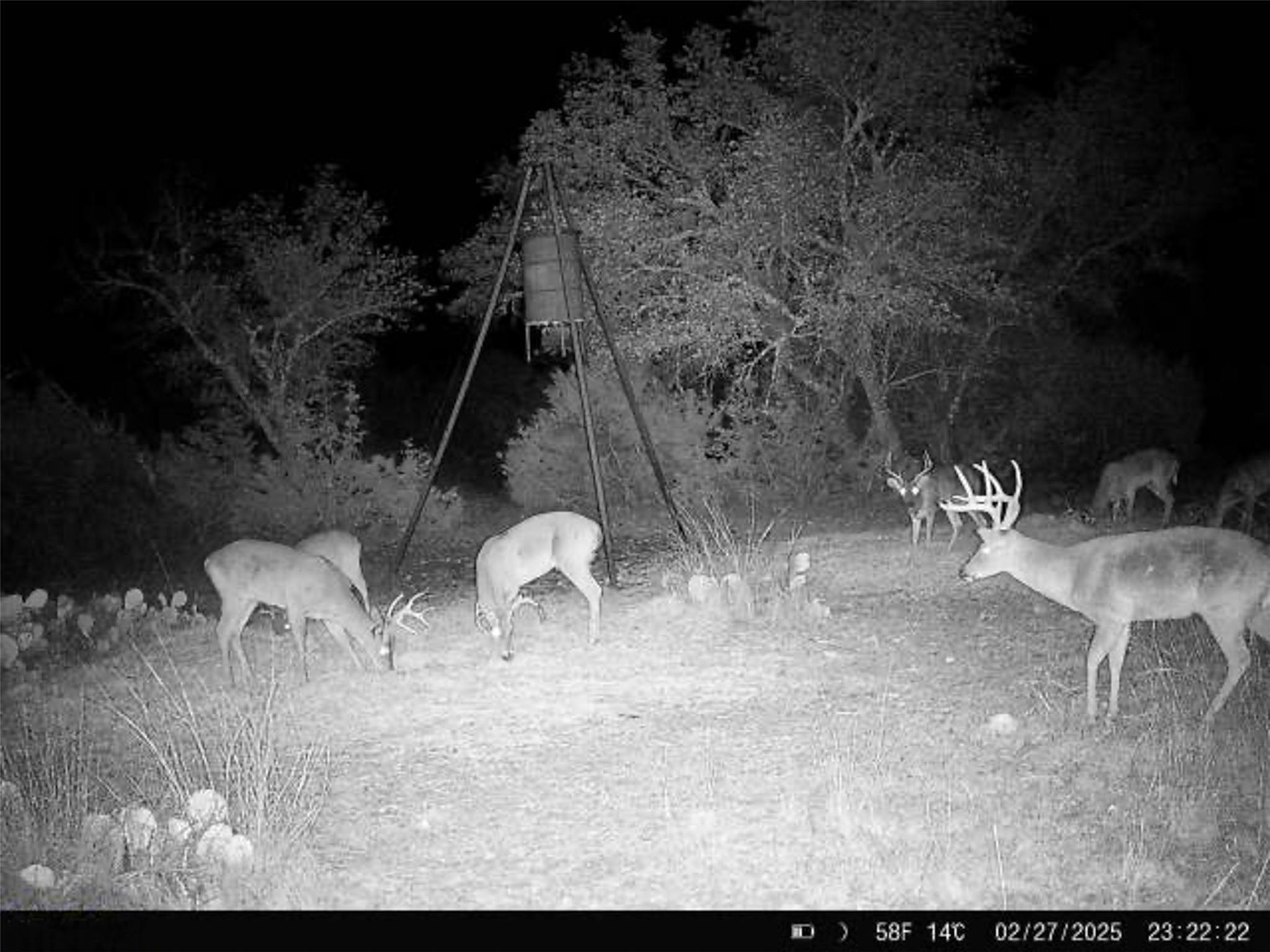 main property photo 29
