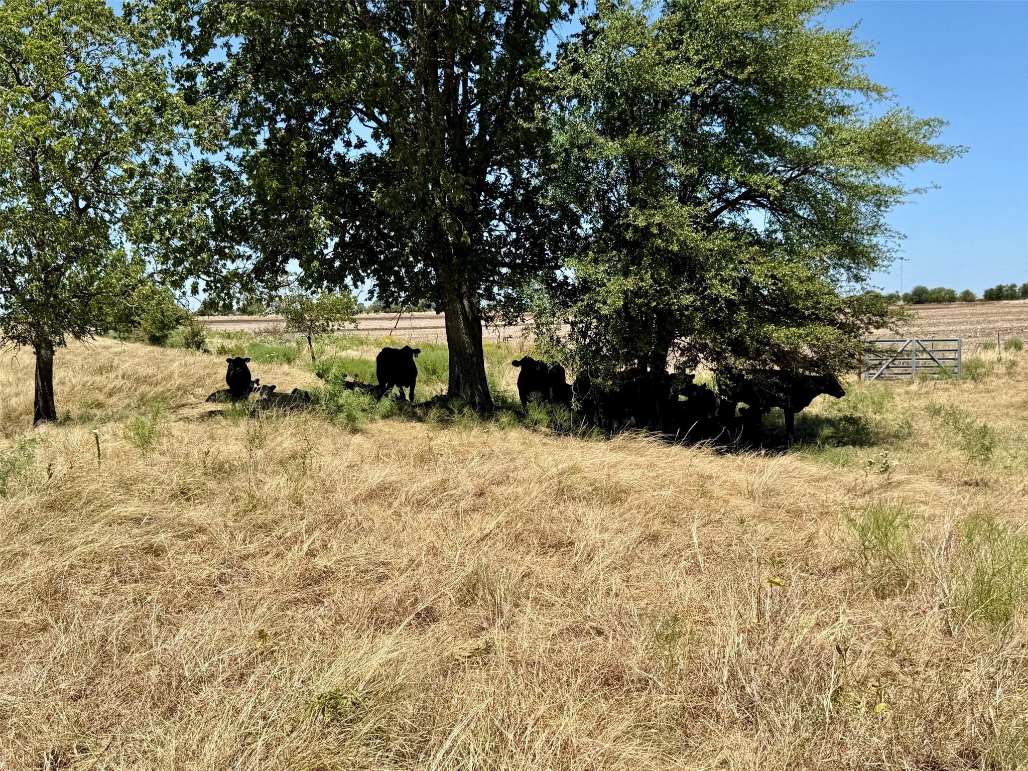 main property photo 24