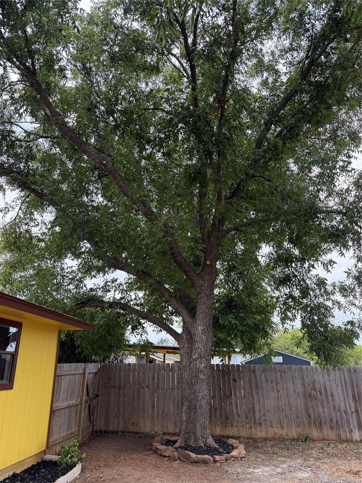 main property photo 31