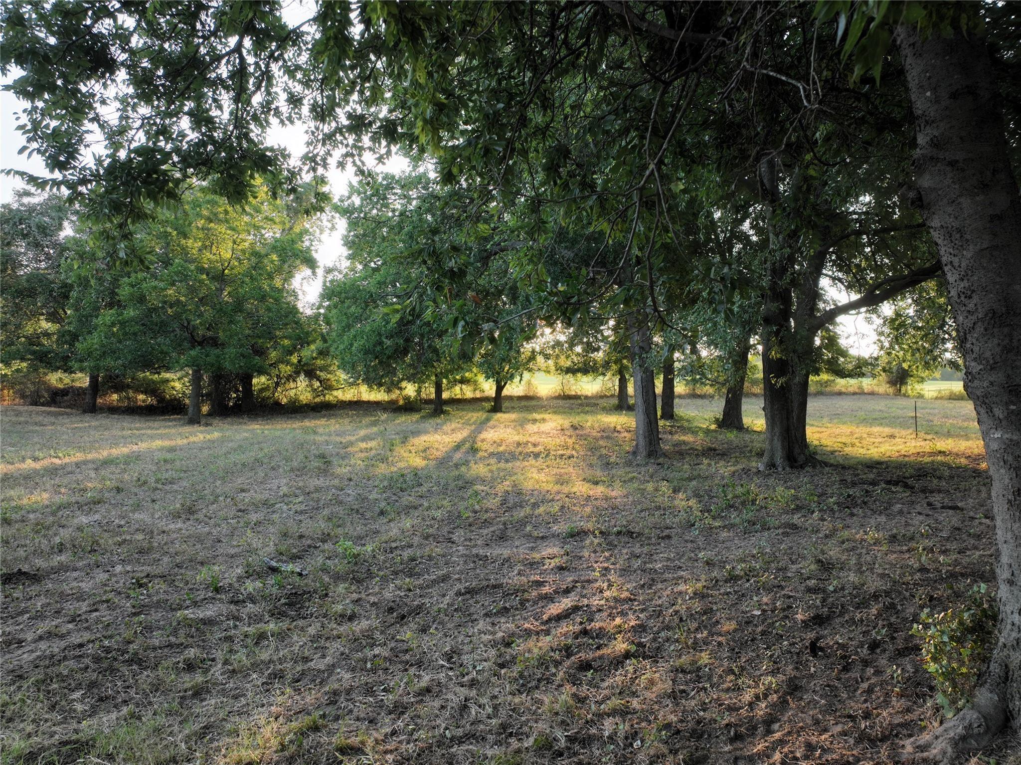main property photo 11