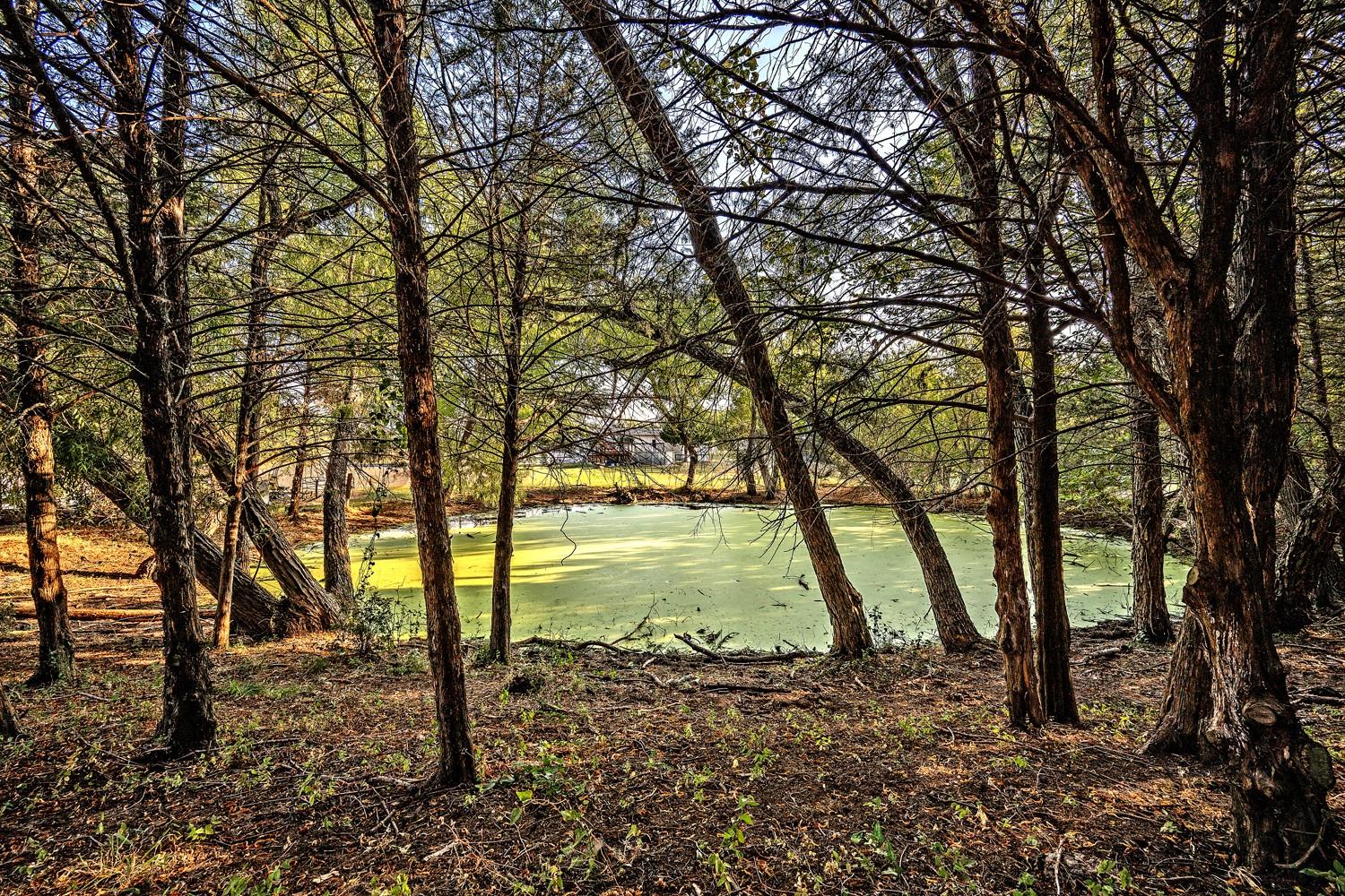 main property photo 36