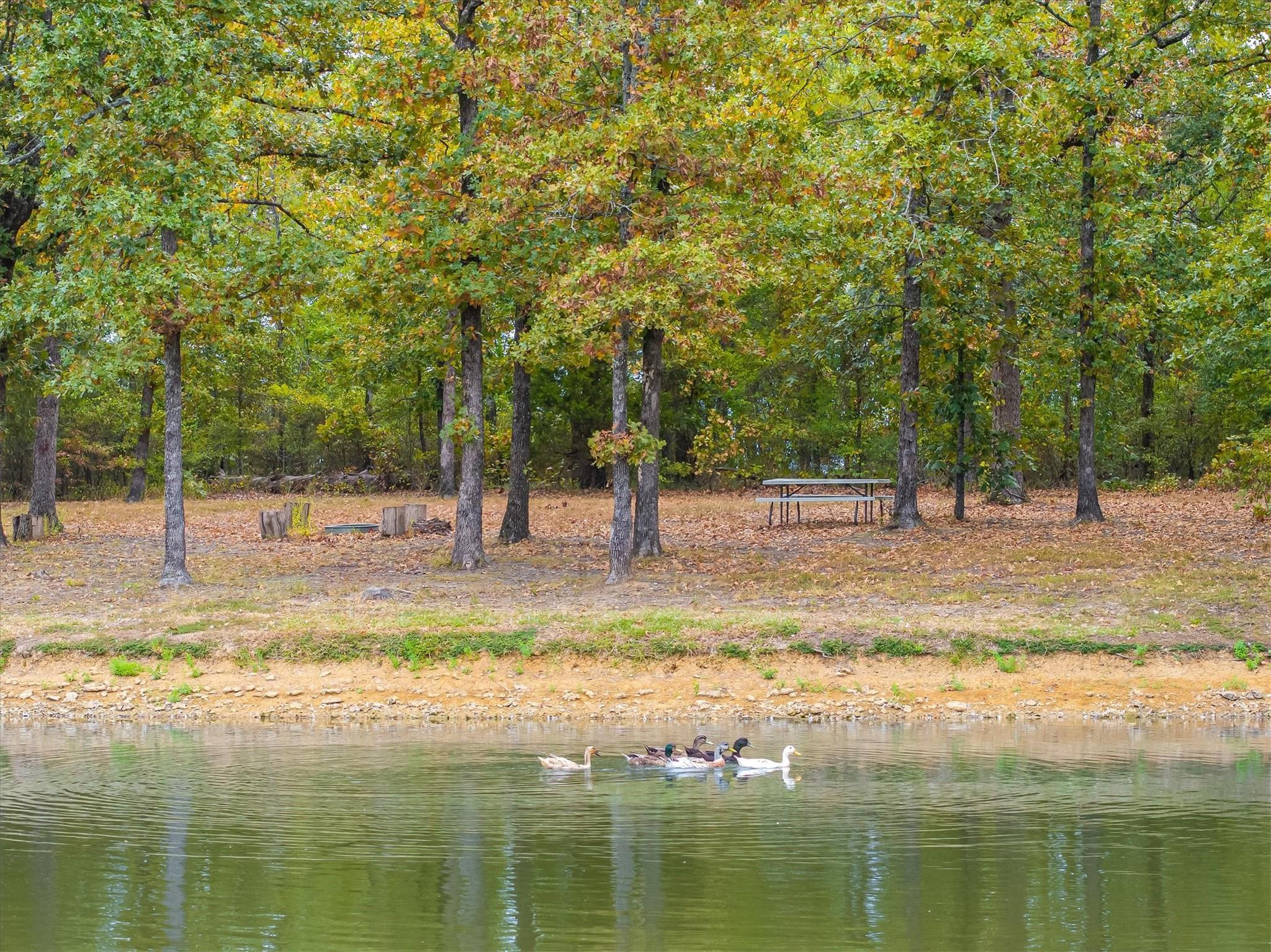 main property photo 35