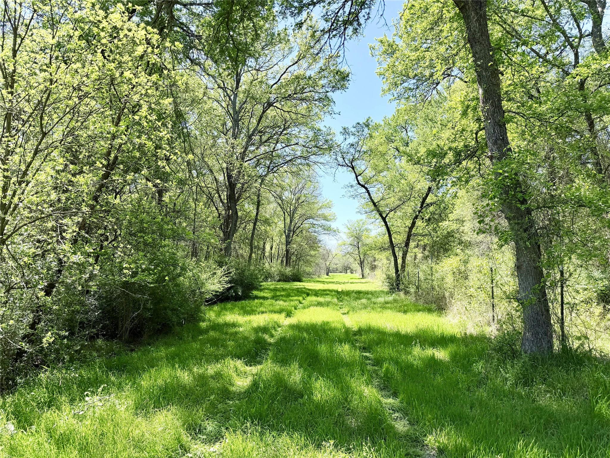 main property photo 35