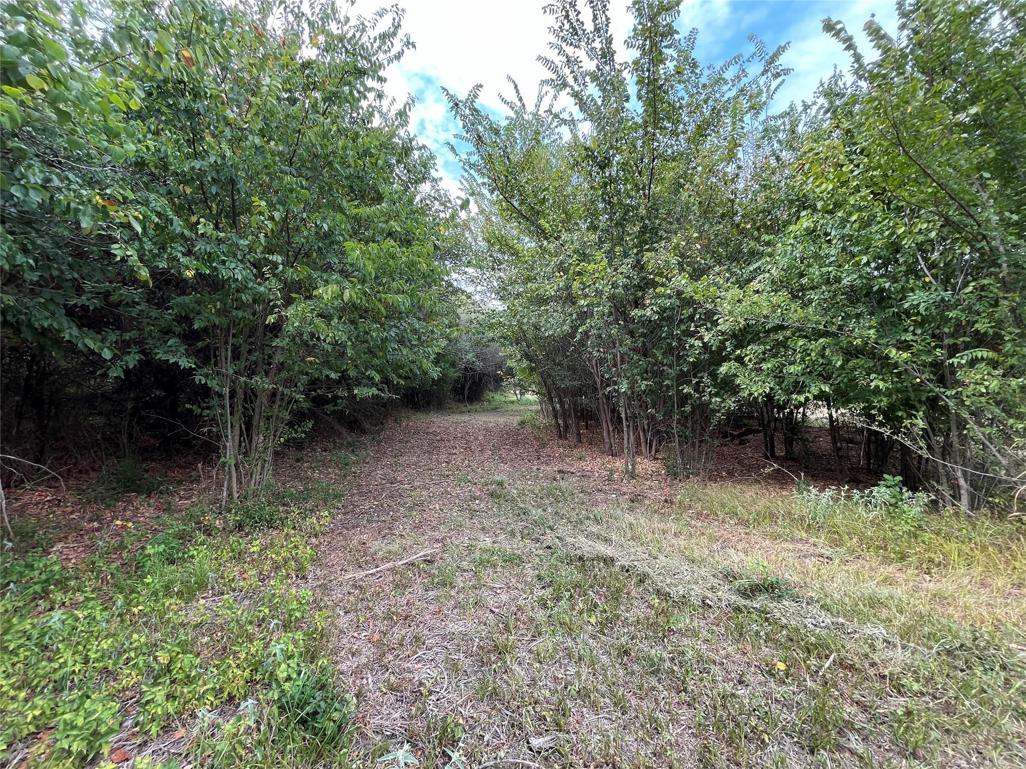 main property photo 17
