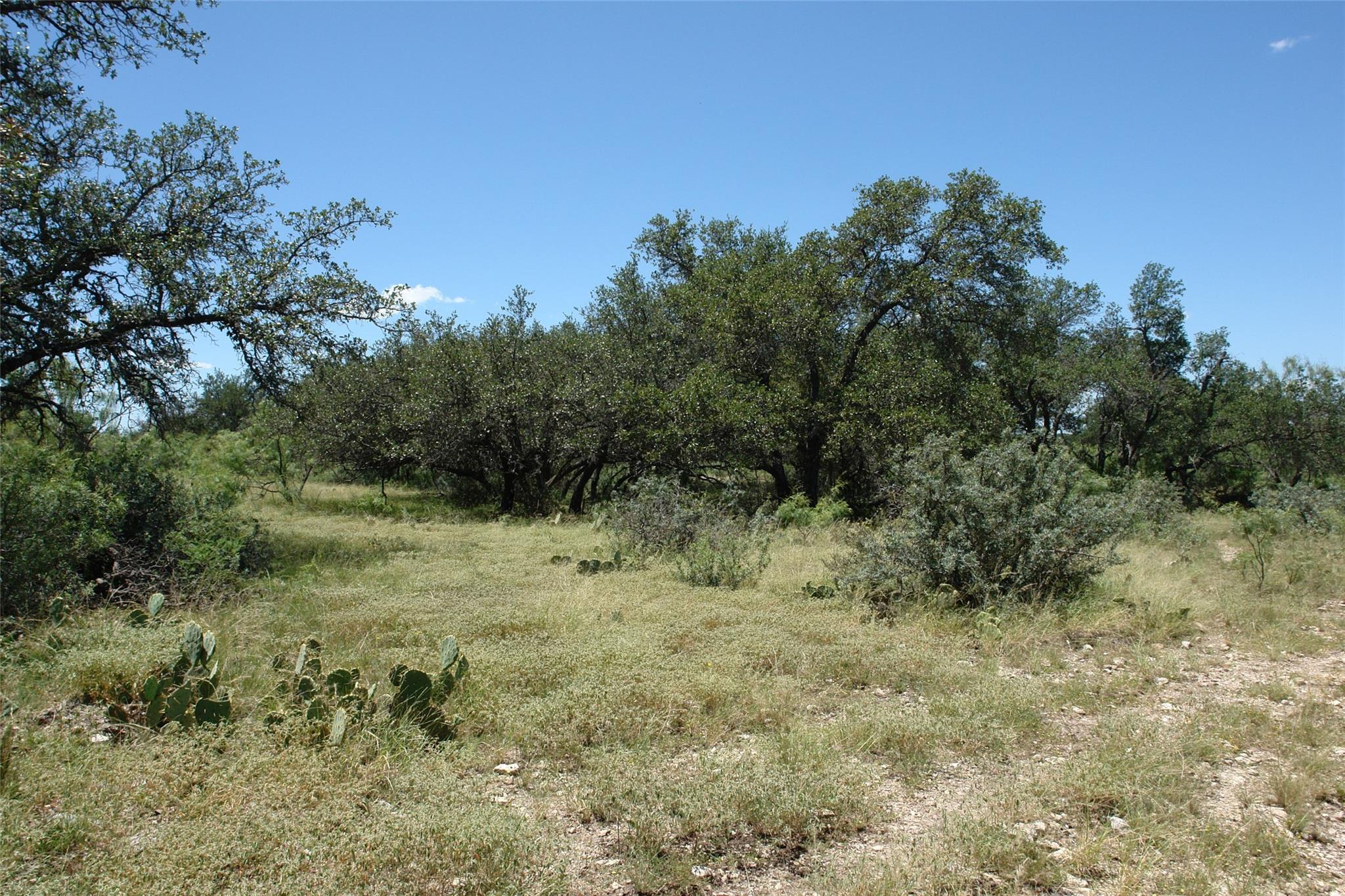 main property photo 11