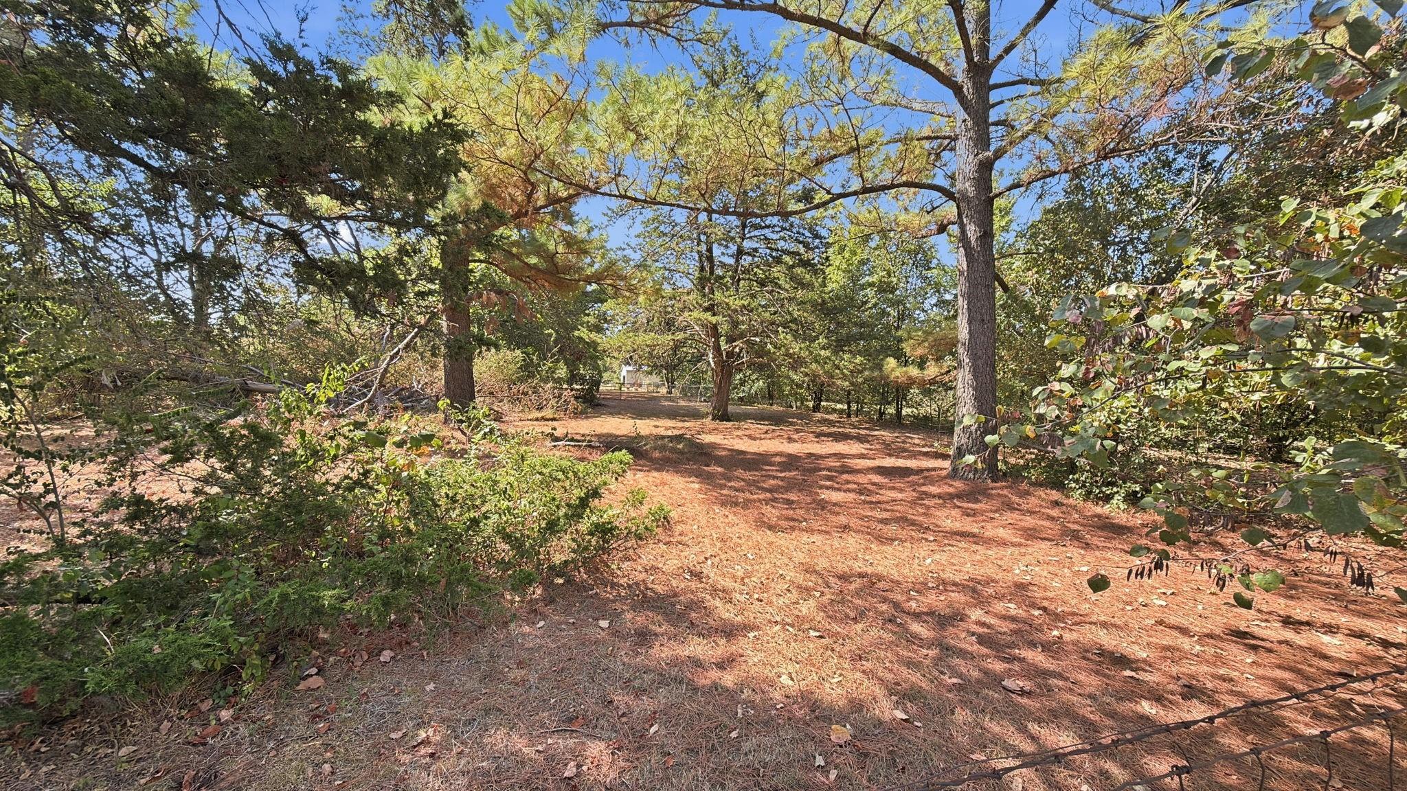 main property photo 21