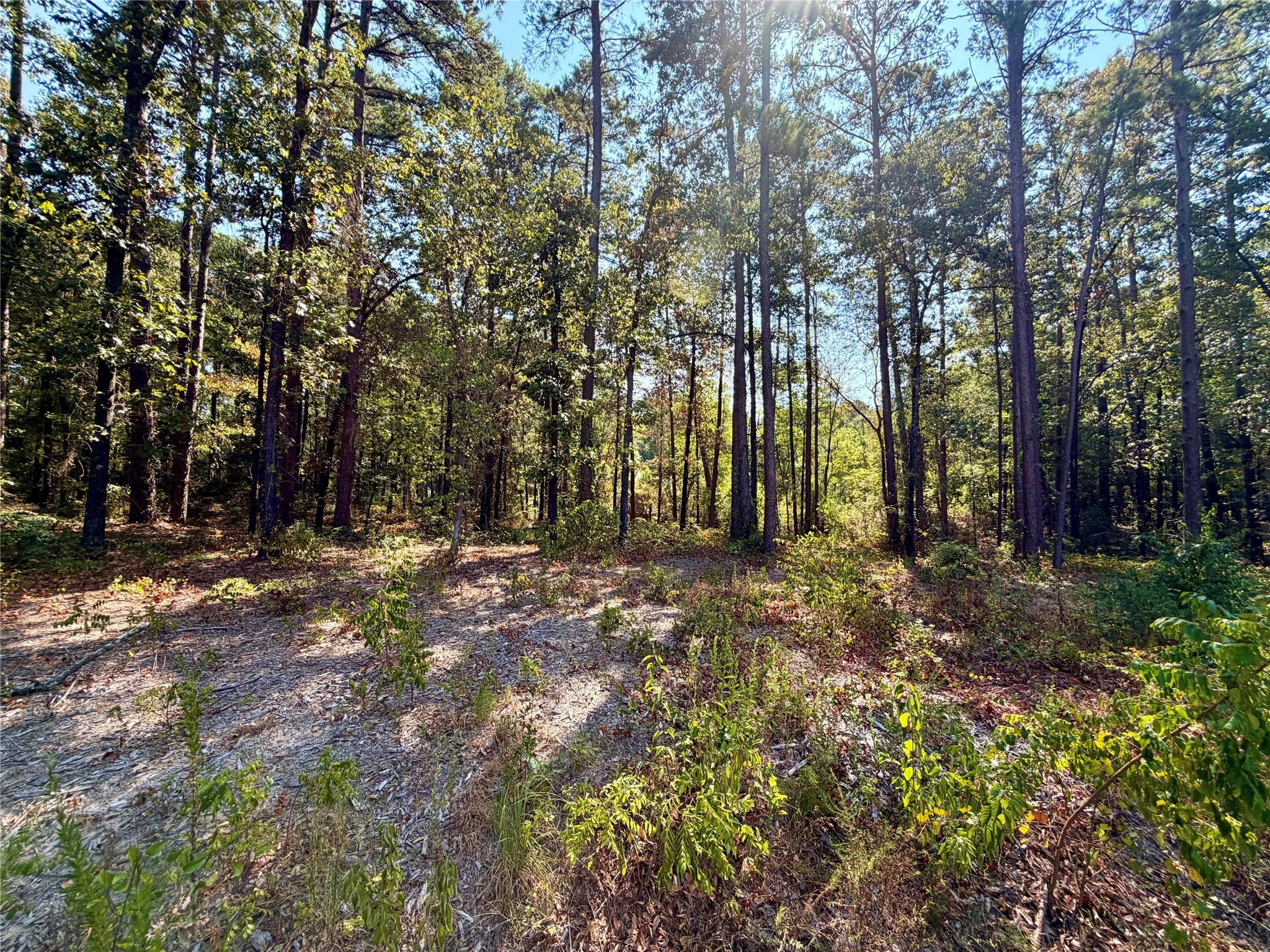 main property photo 6