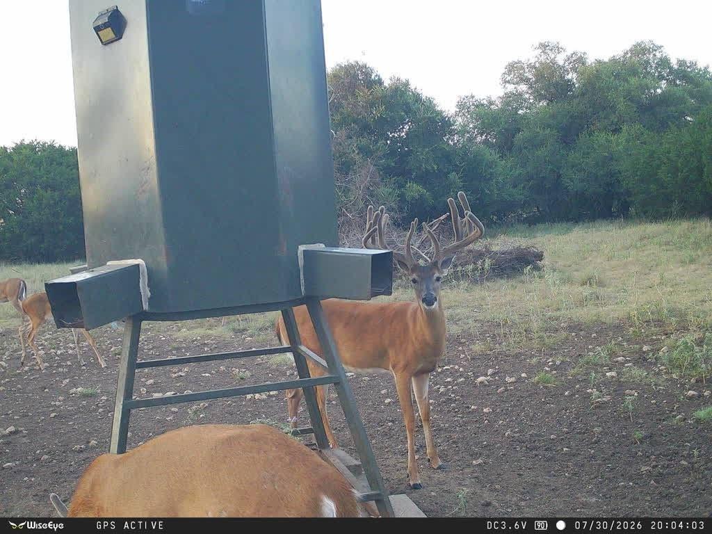 main property photo 14