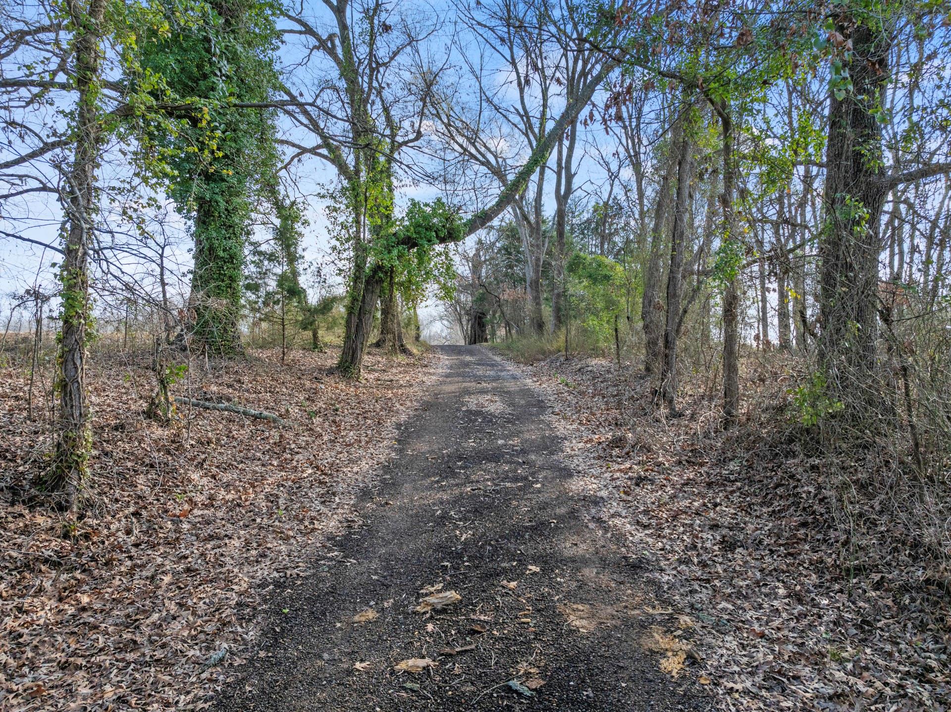 main property photo 36