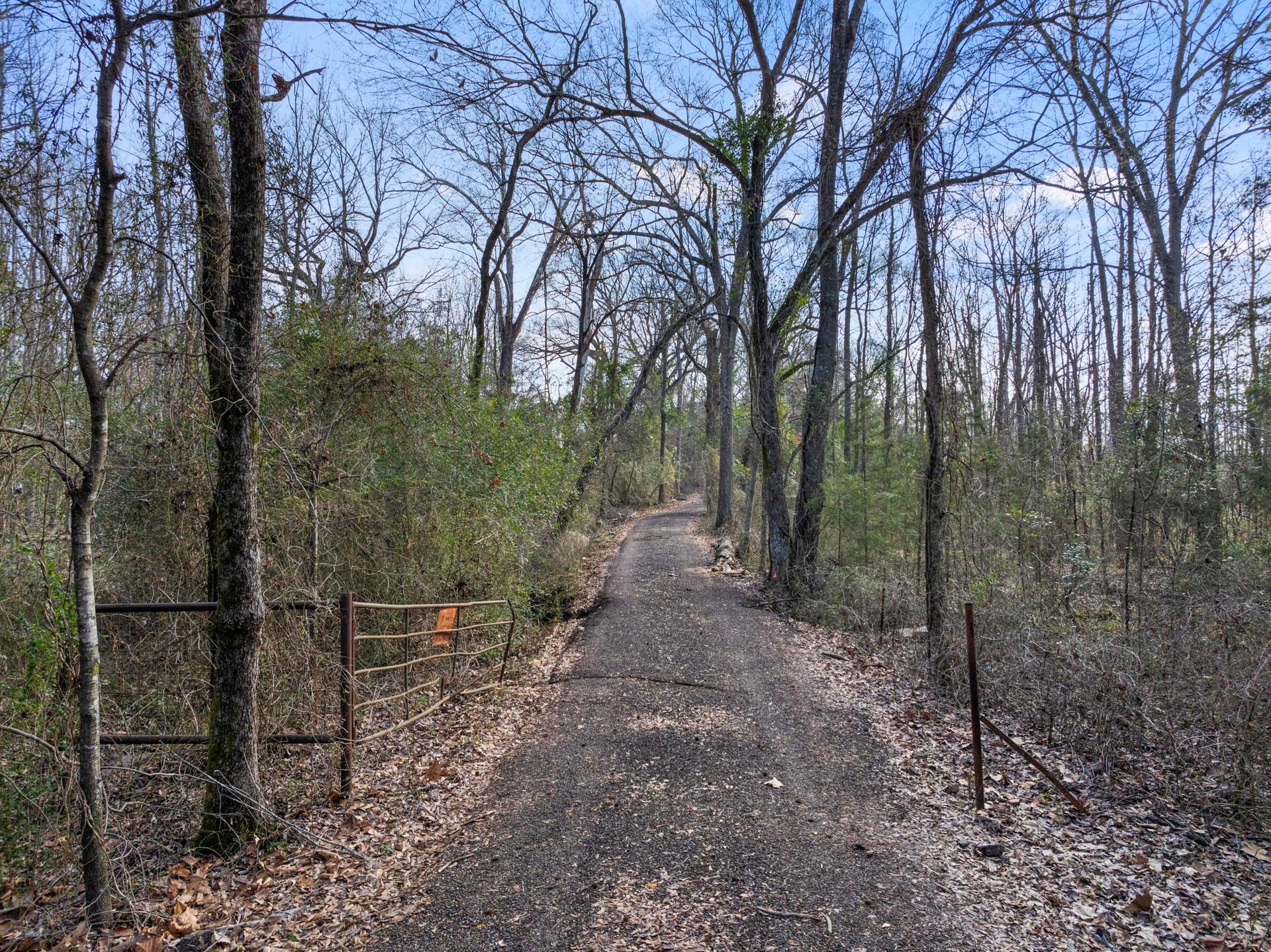 main property photo 37