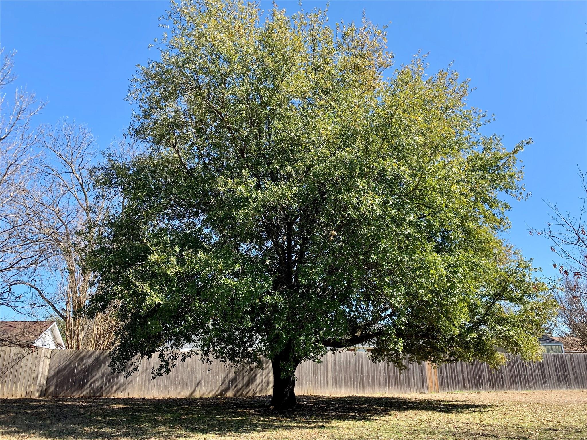 main property photo 32