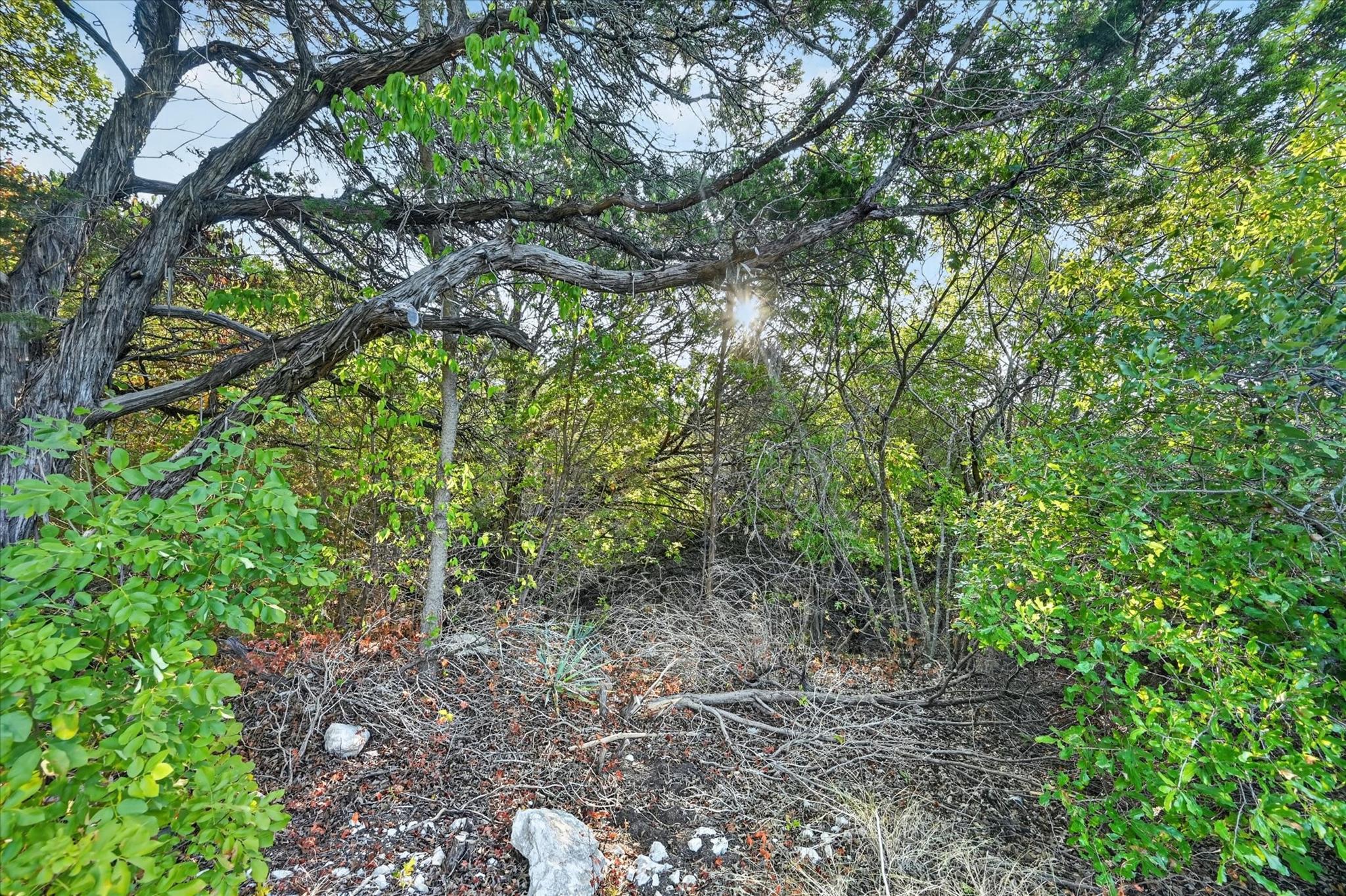 main property photo 19