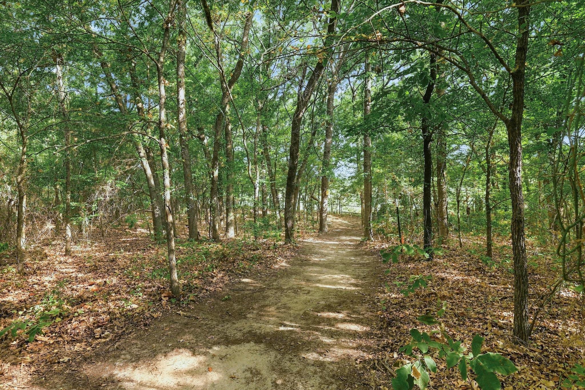 main property photo 35