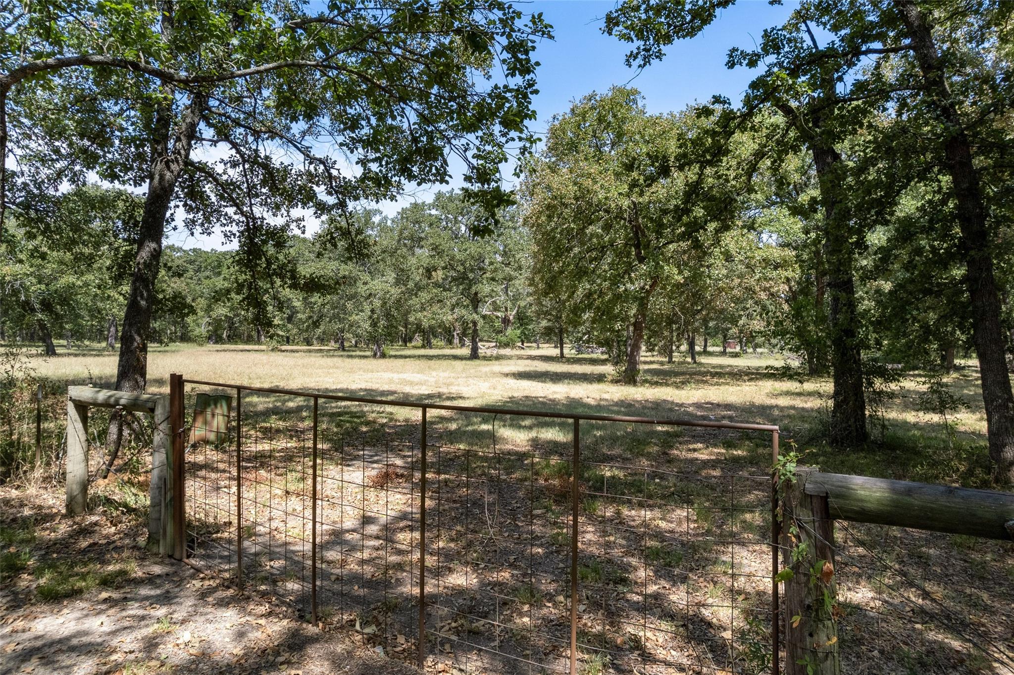 main property photo 11