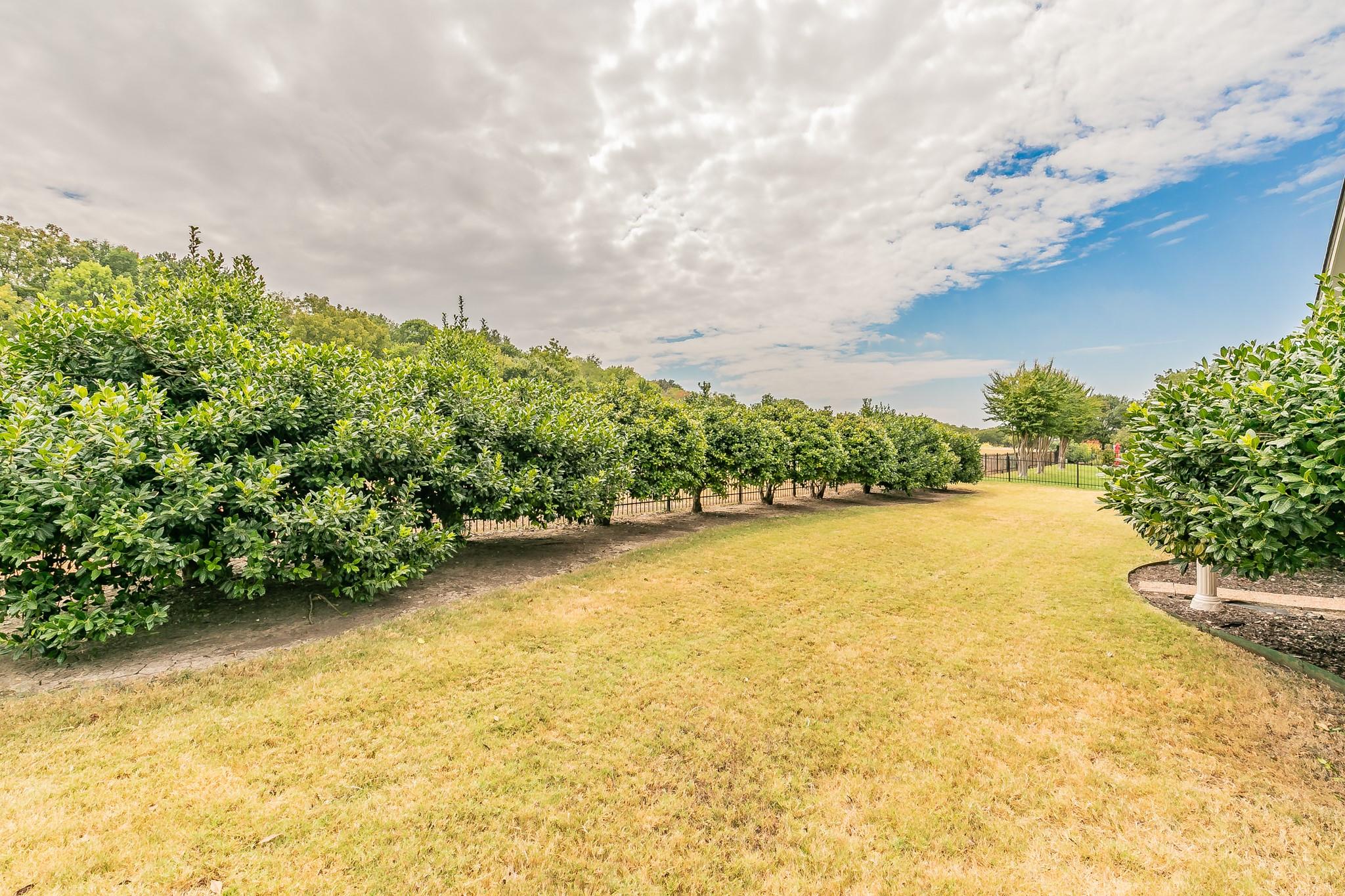 main property photo 32