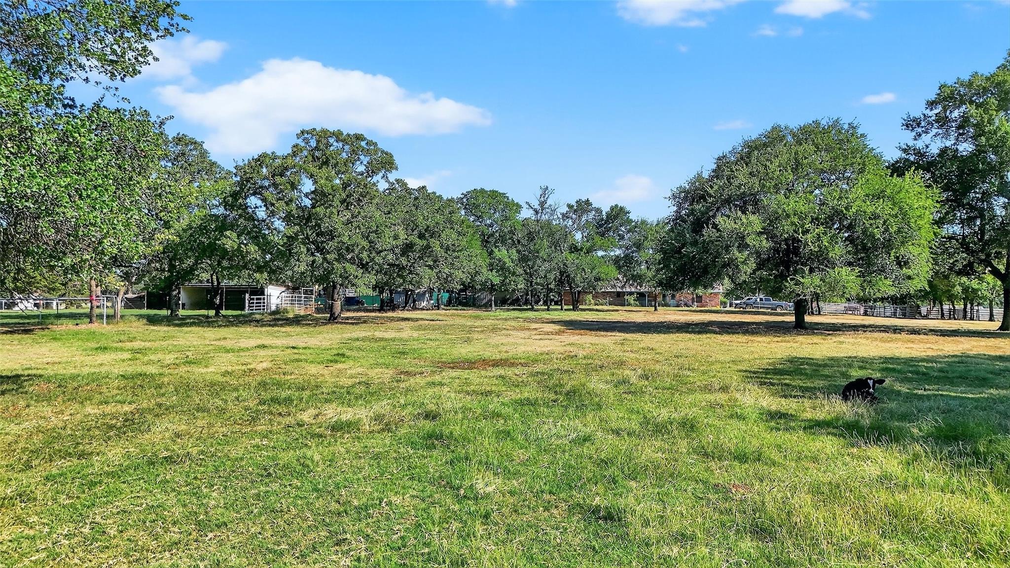 main property photo 15