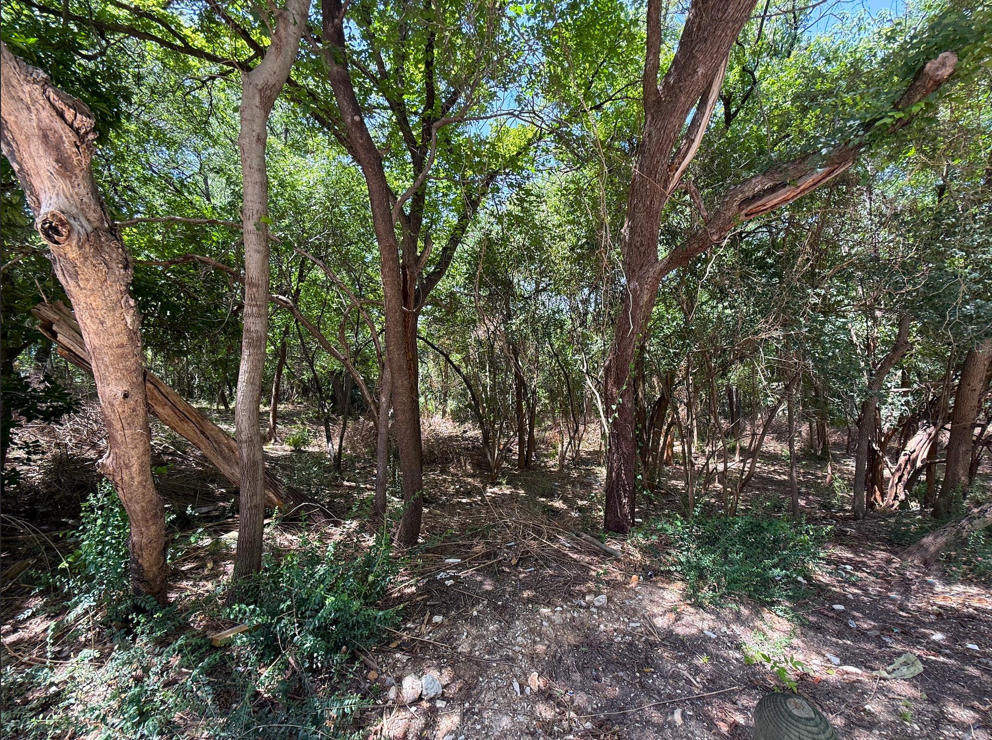 main property photo 17
