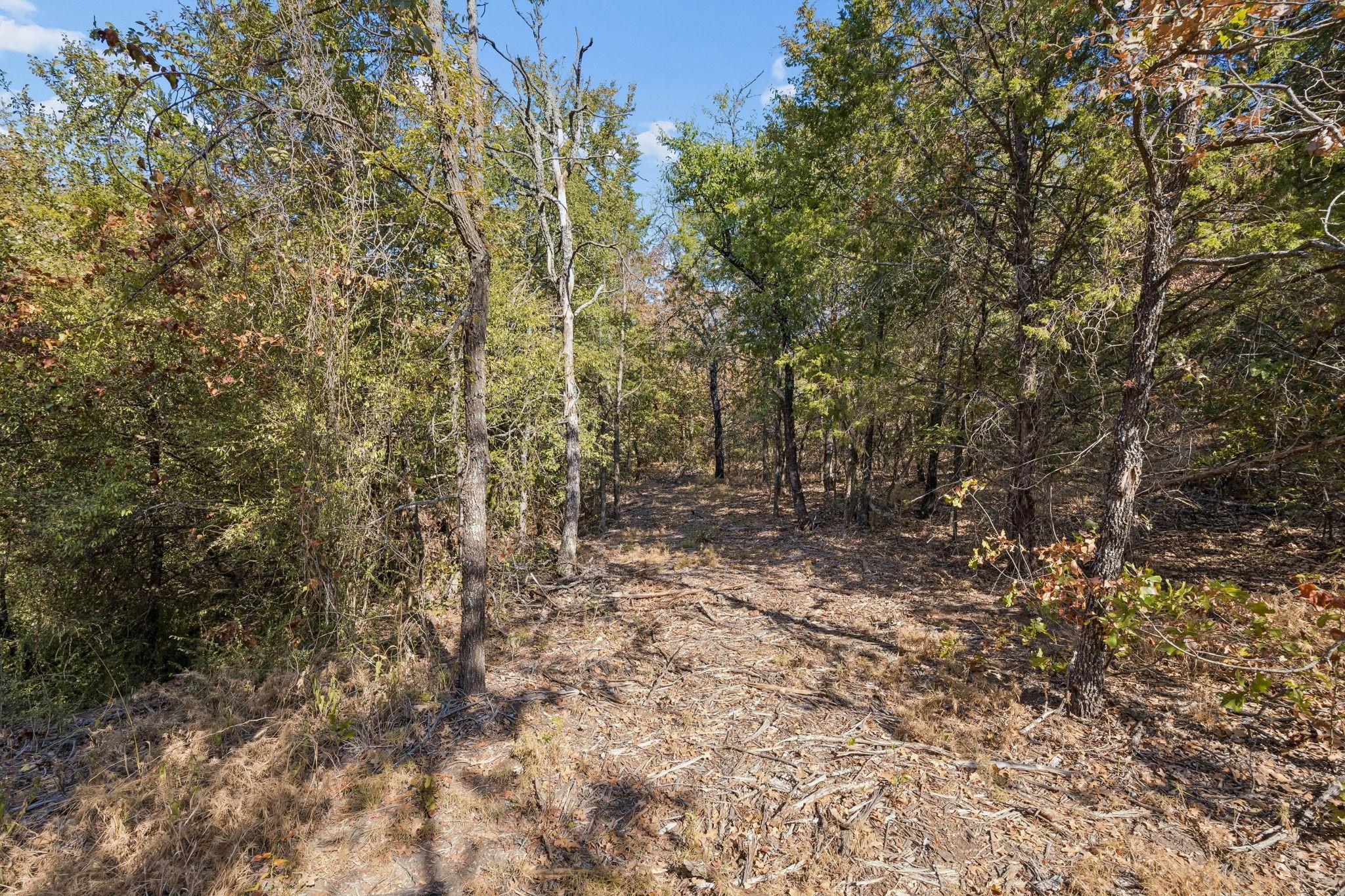 main property photo 16