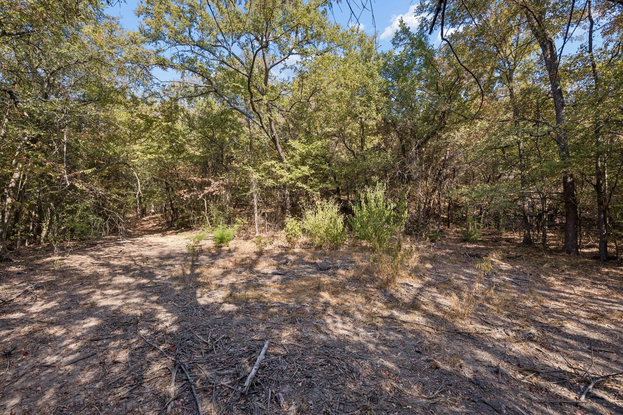 main property photo 24