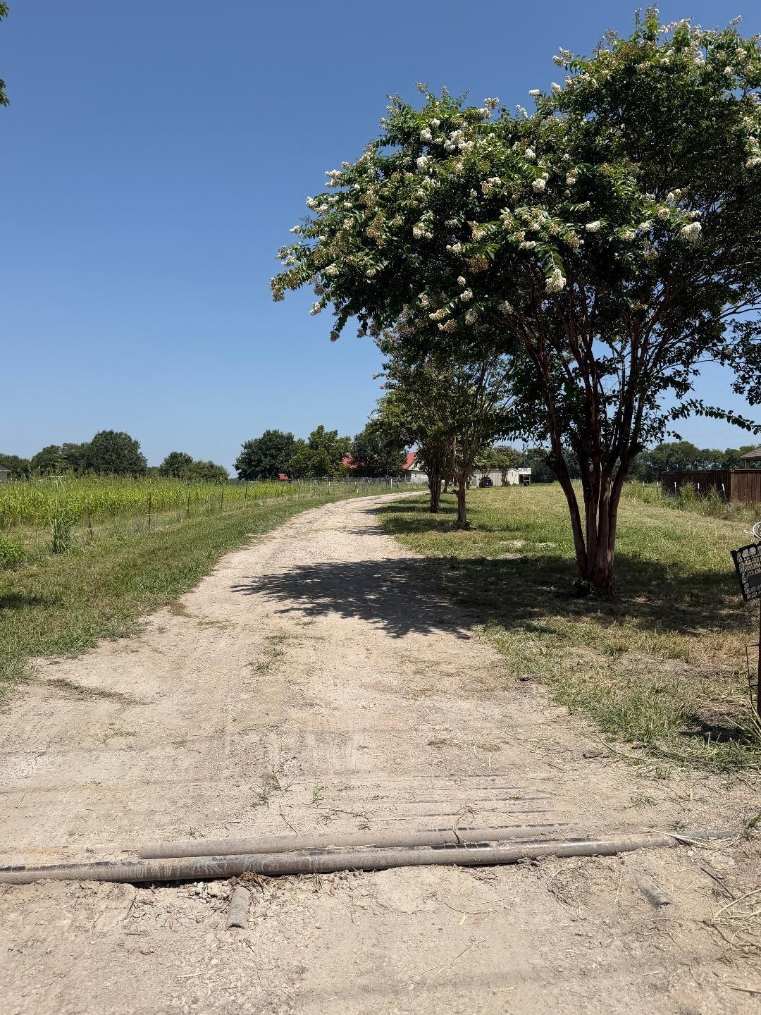 main property photo 31