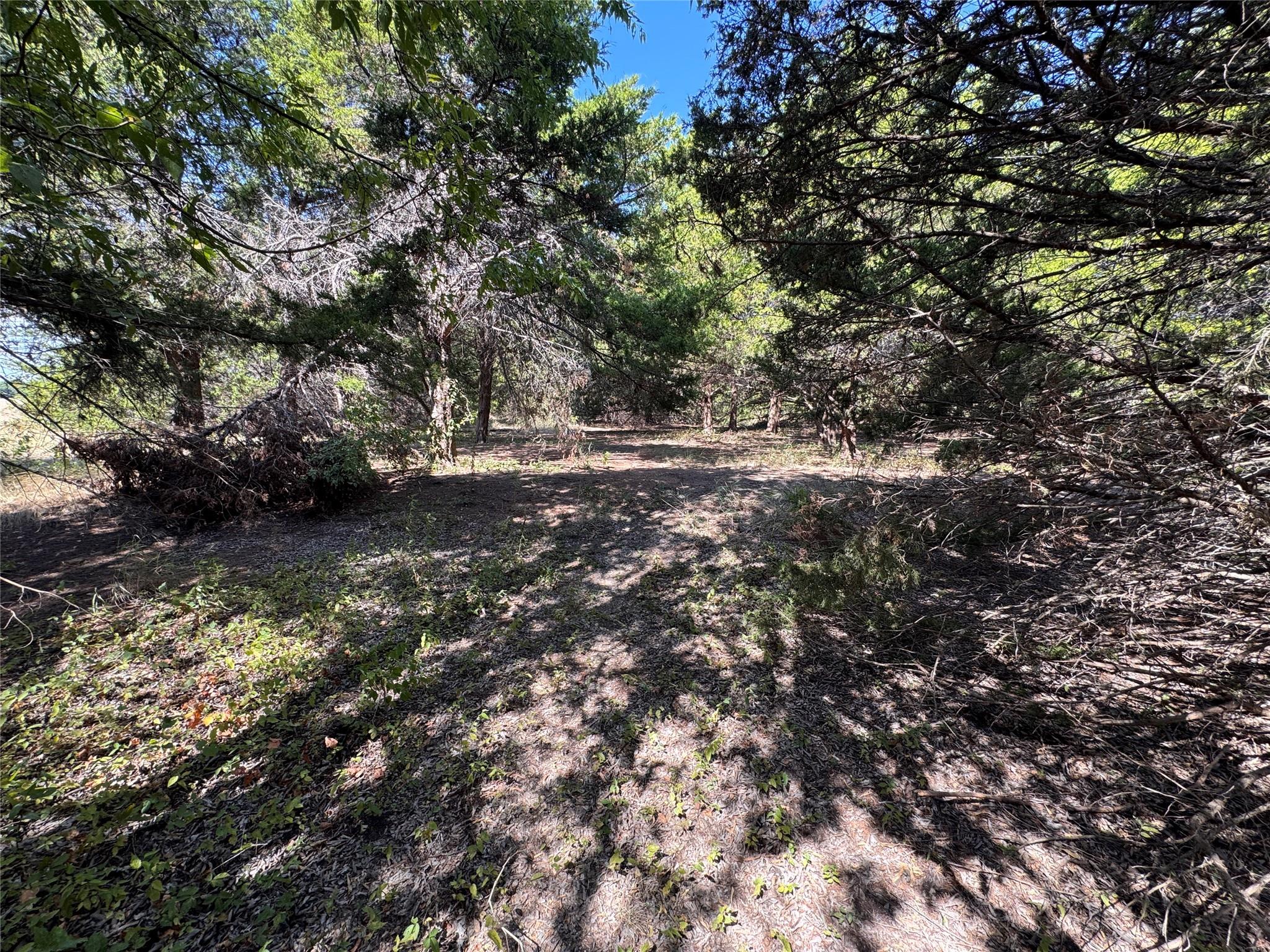 main property photo 5