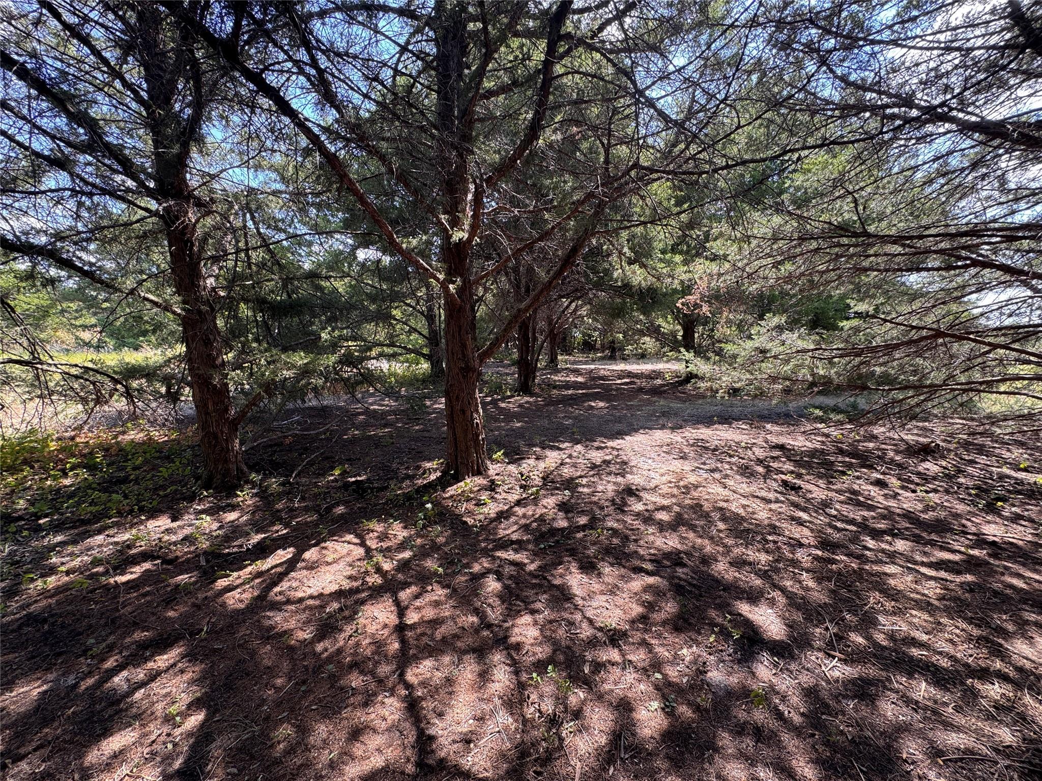 main property photo 6