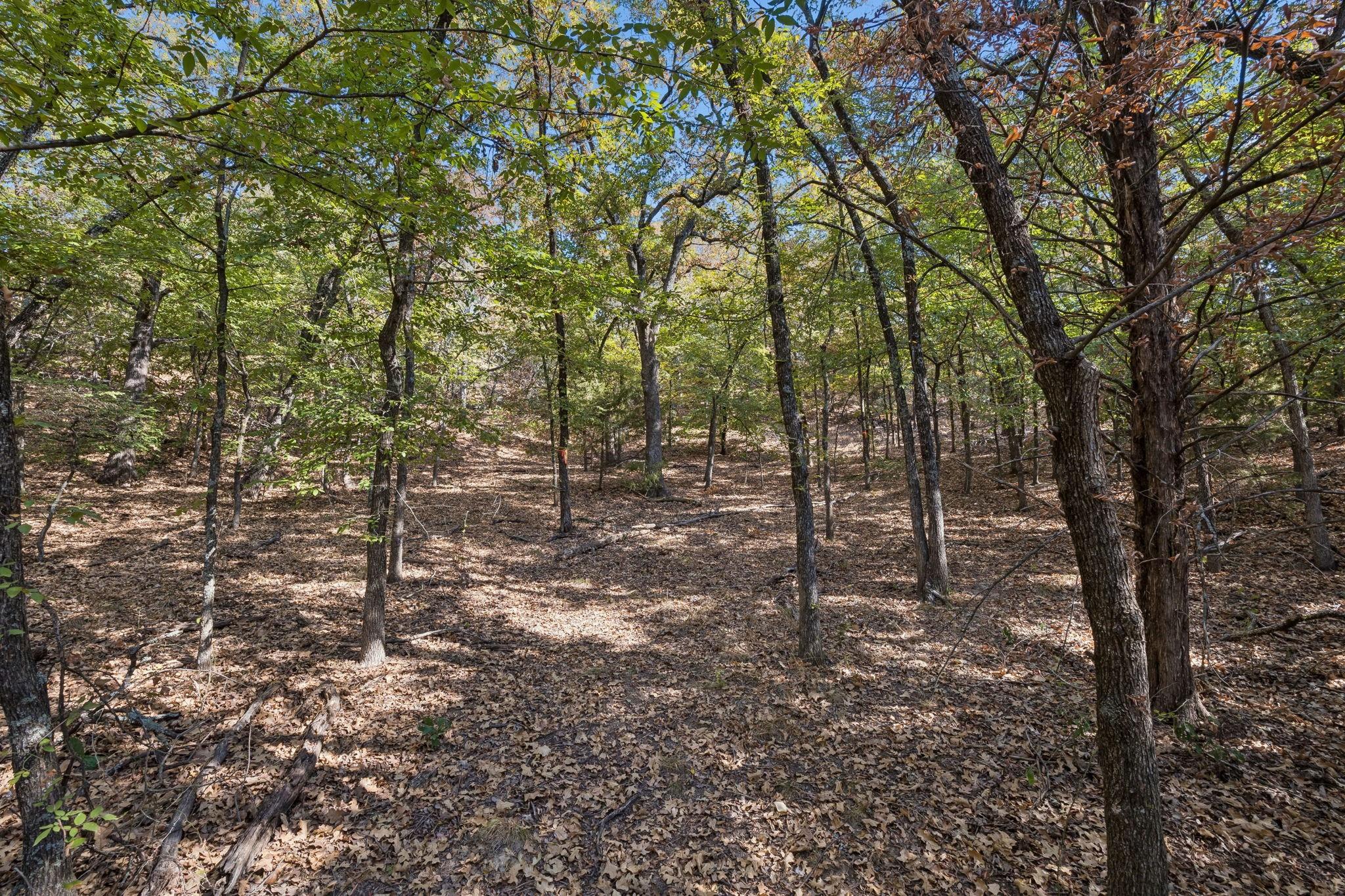 main property photo 14