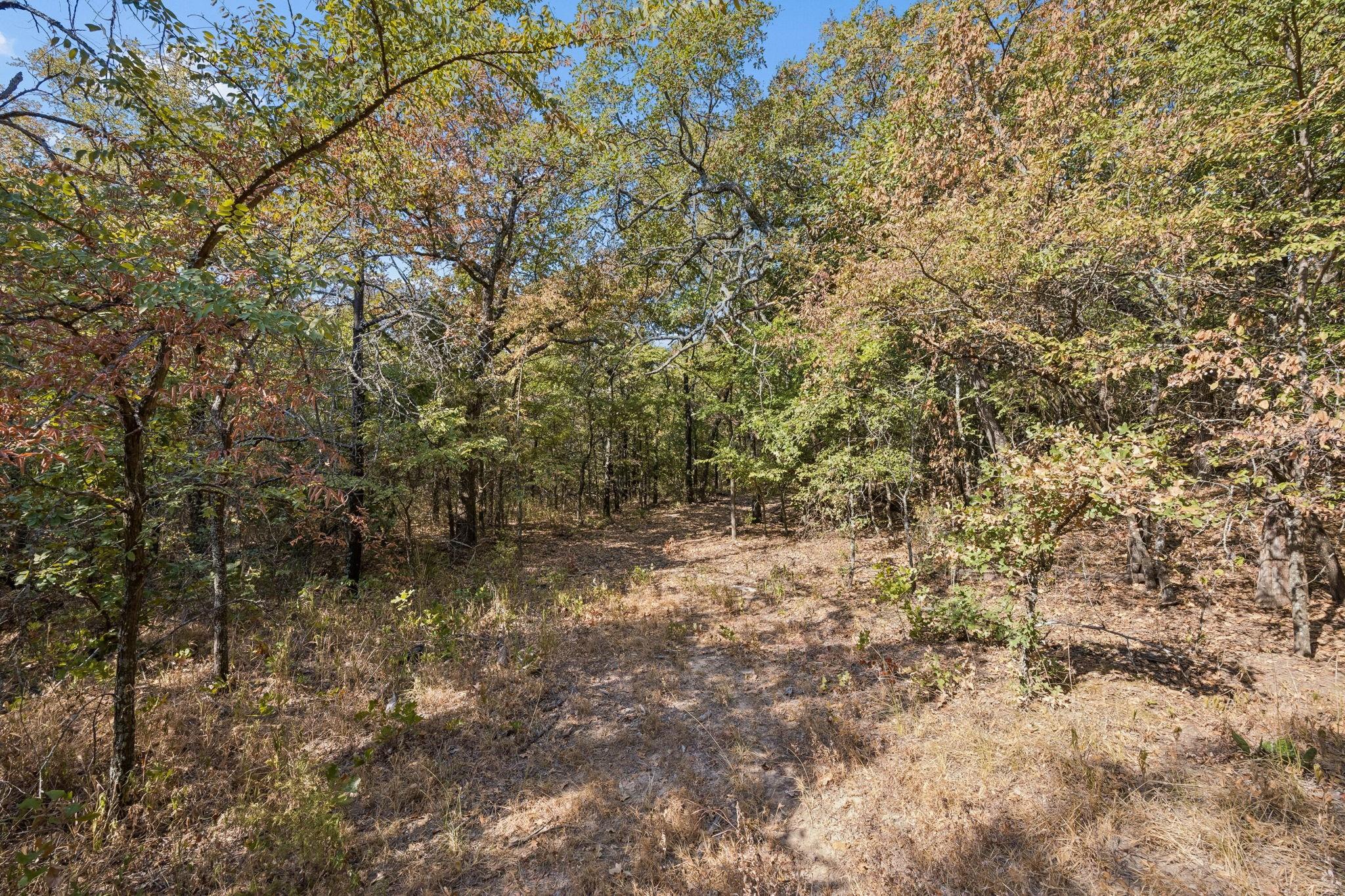 main property photo 16
