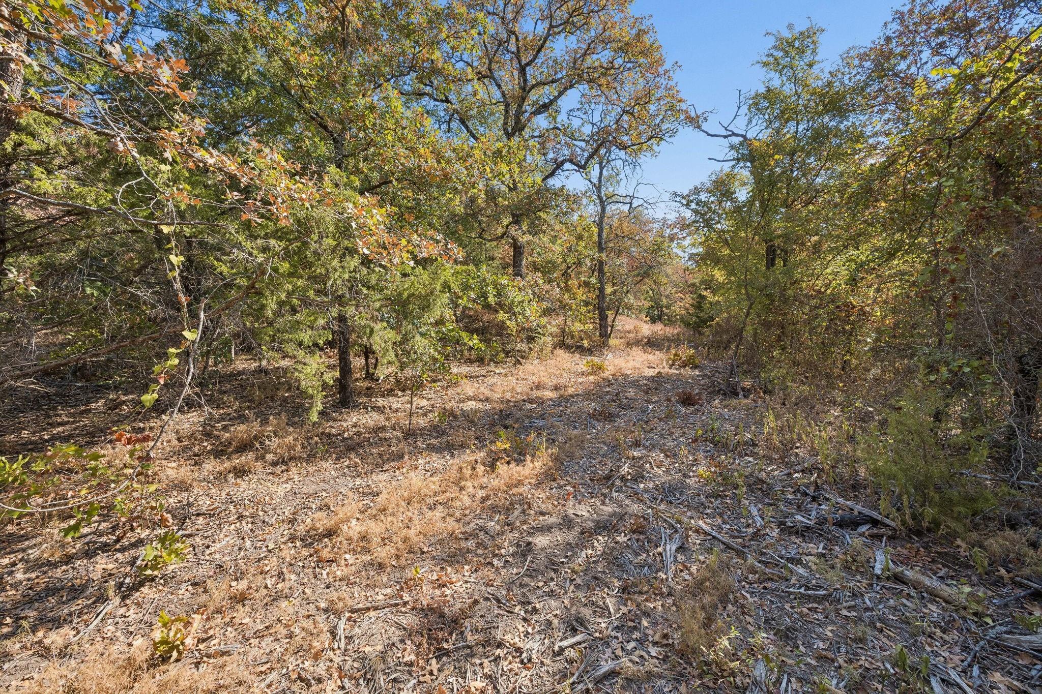 main property photo 17