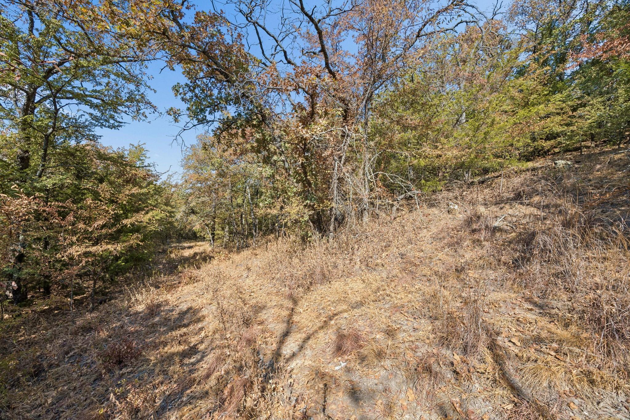 main property photo 22