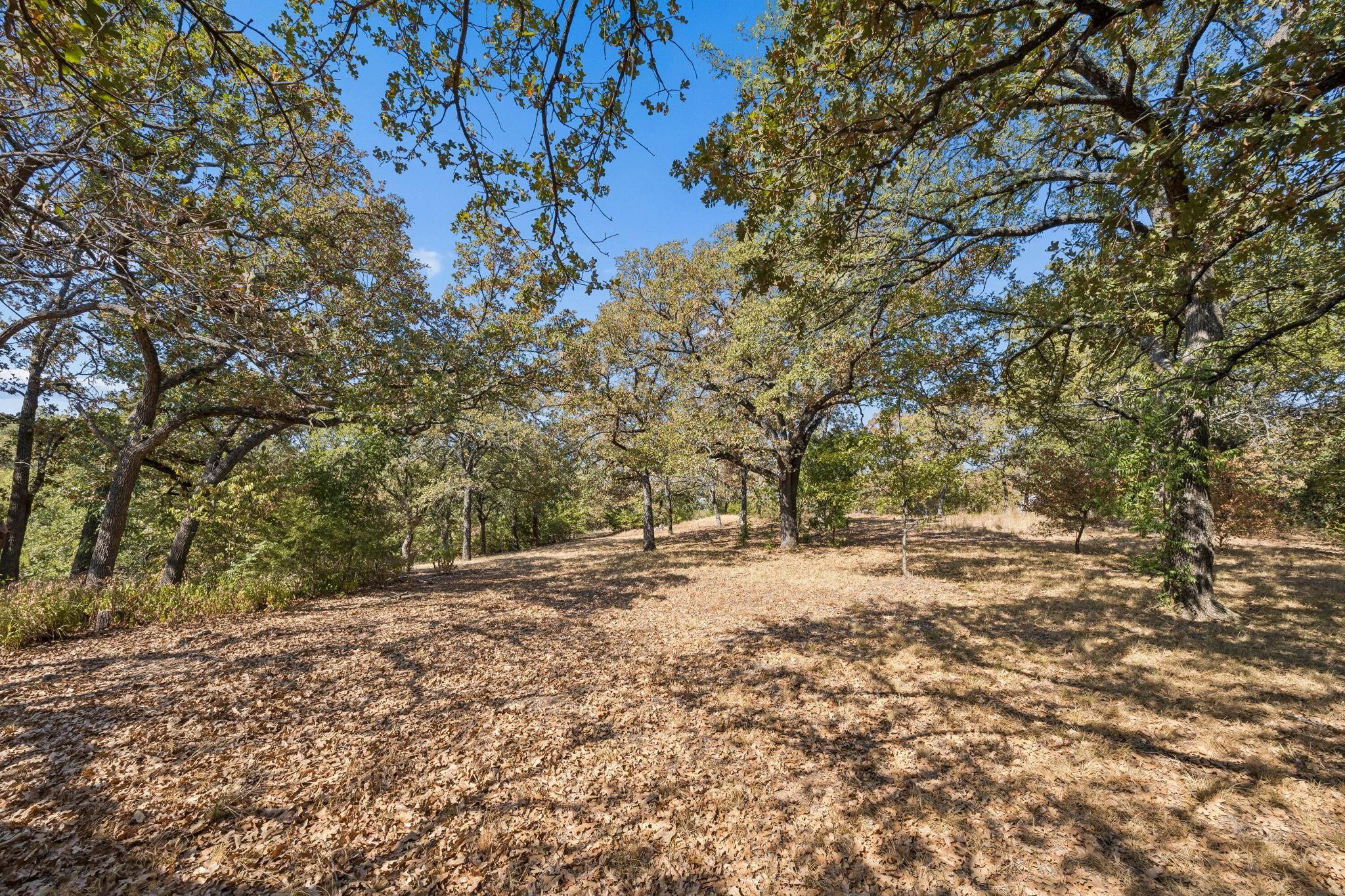 main property photo 24