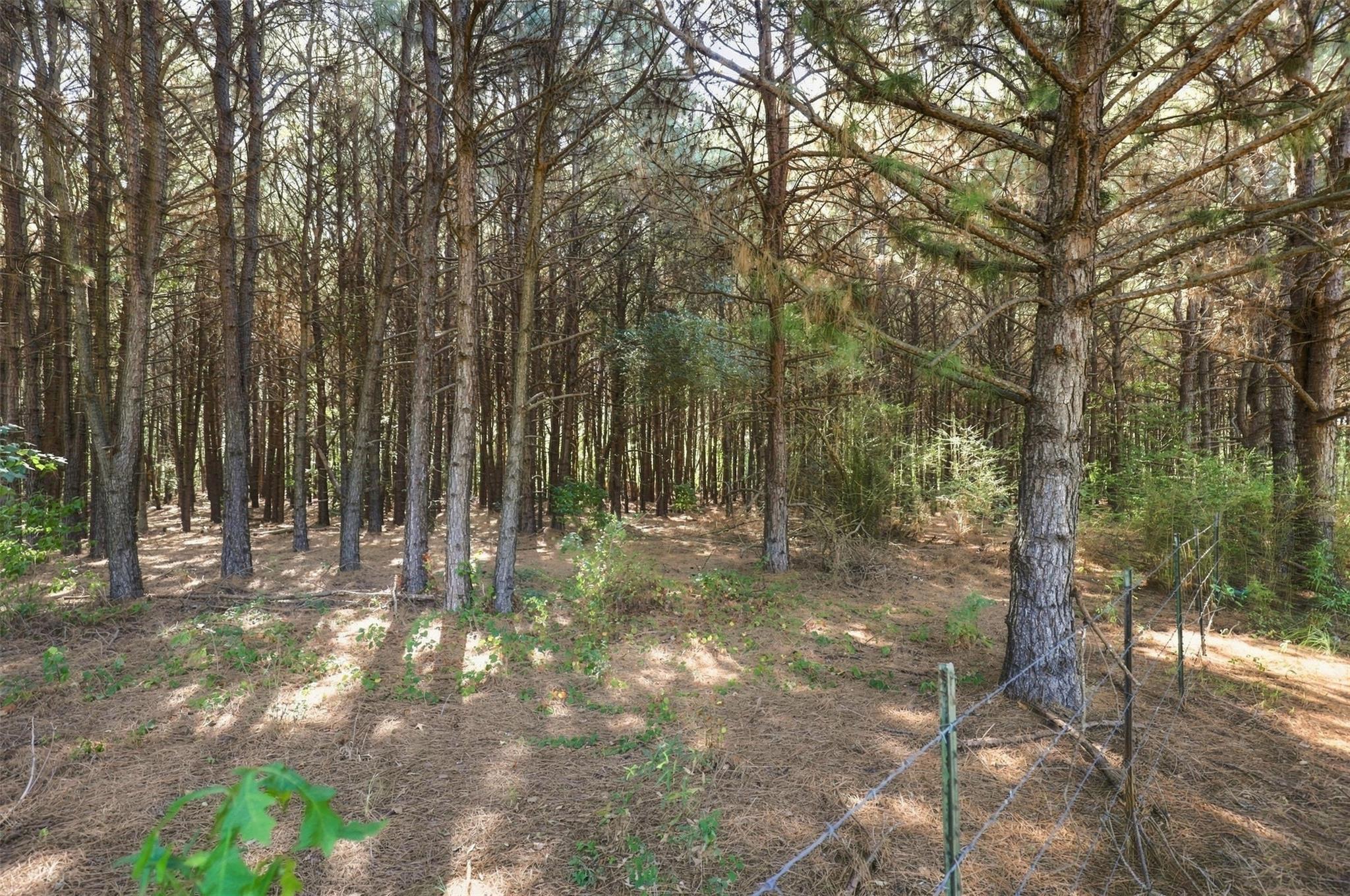 main property photo 28