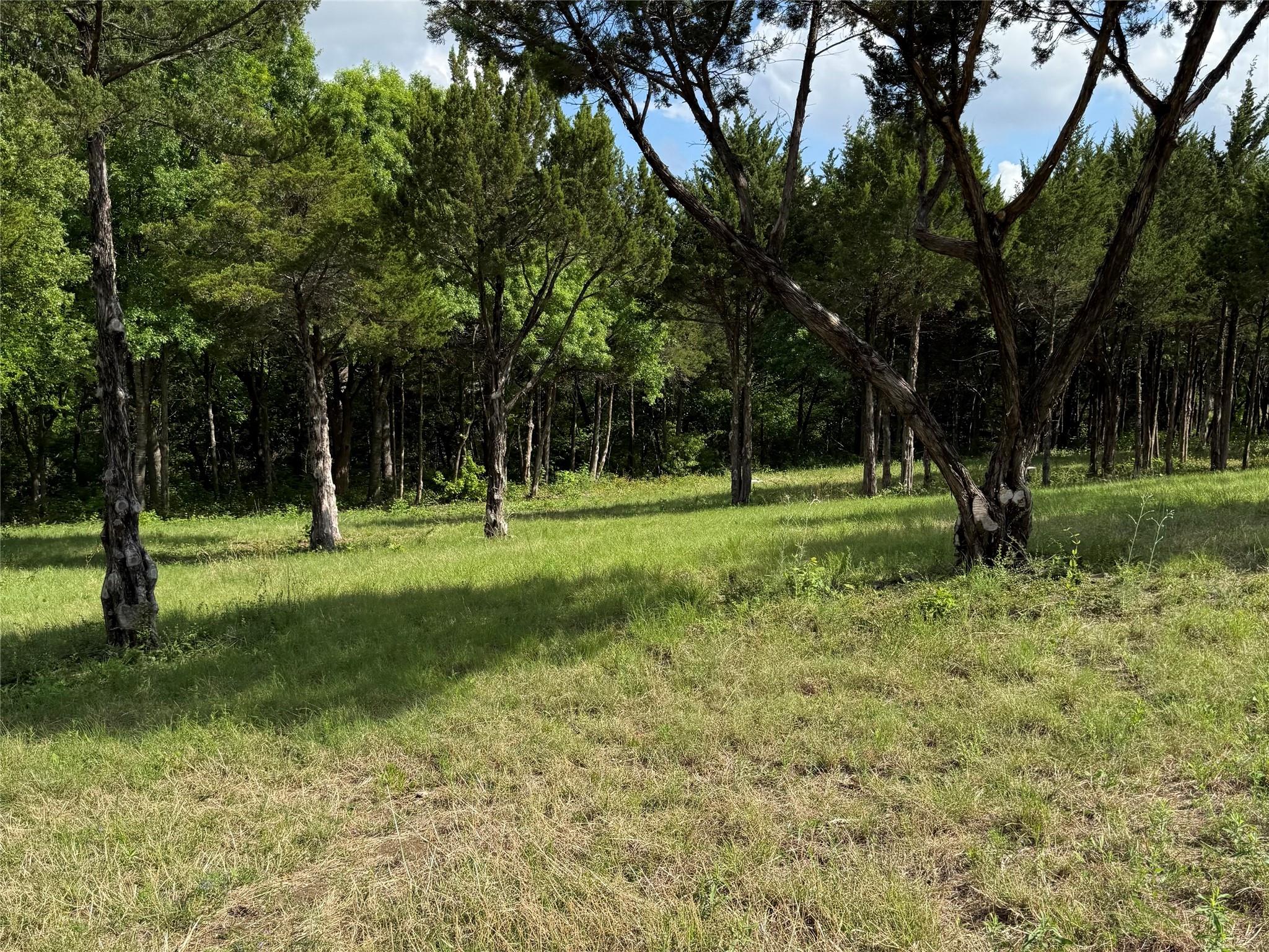 main property photo 12