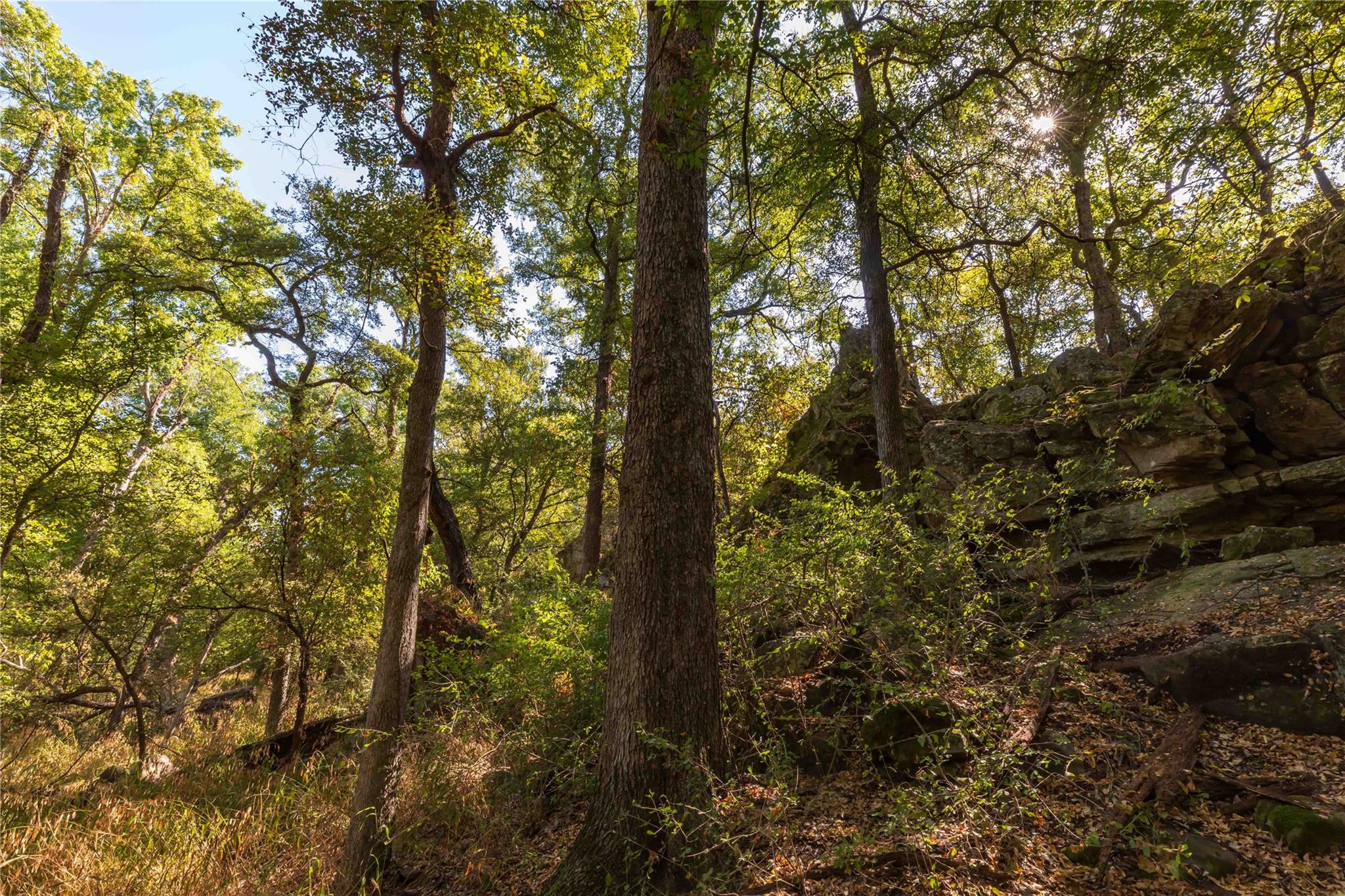 main property photo 15