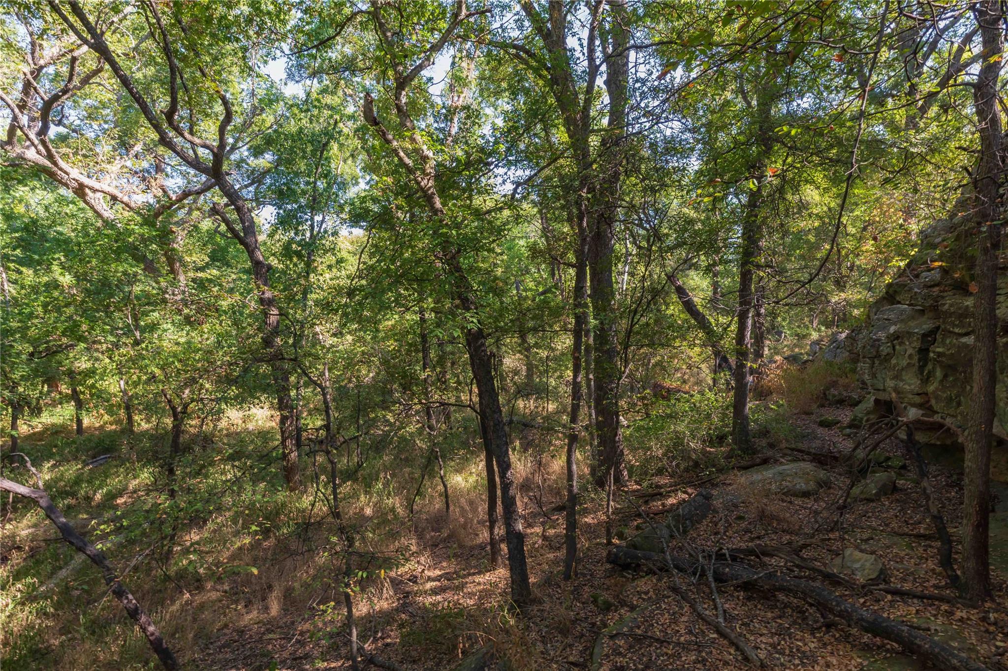 main property photo 37