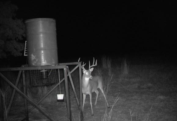main property photo 9