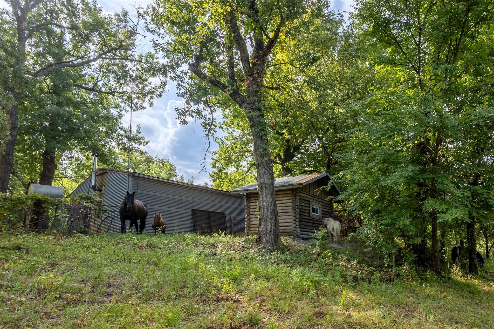 main property photo 32