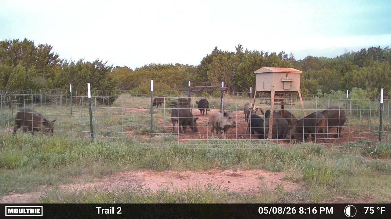 main property photo 9