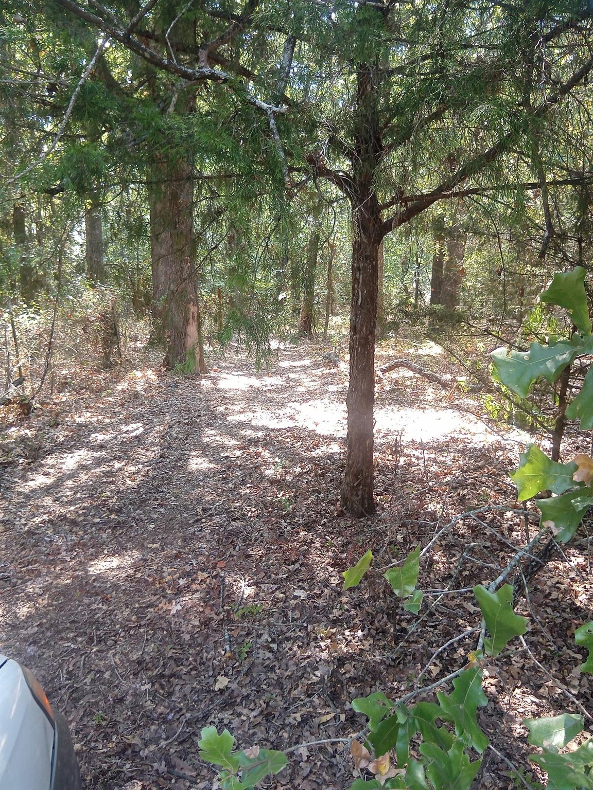 main property photo 9