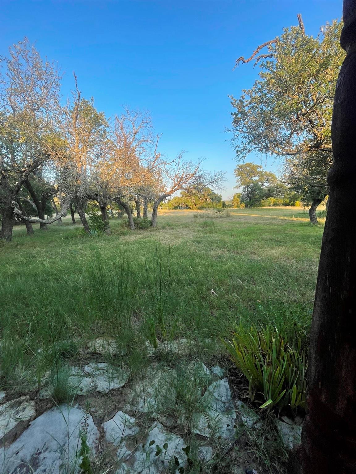 main property photo 6