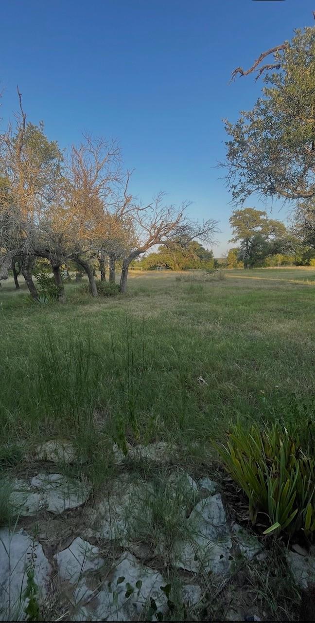 main property photo 9