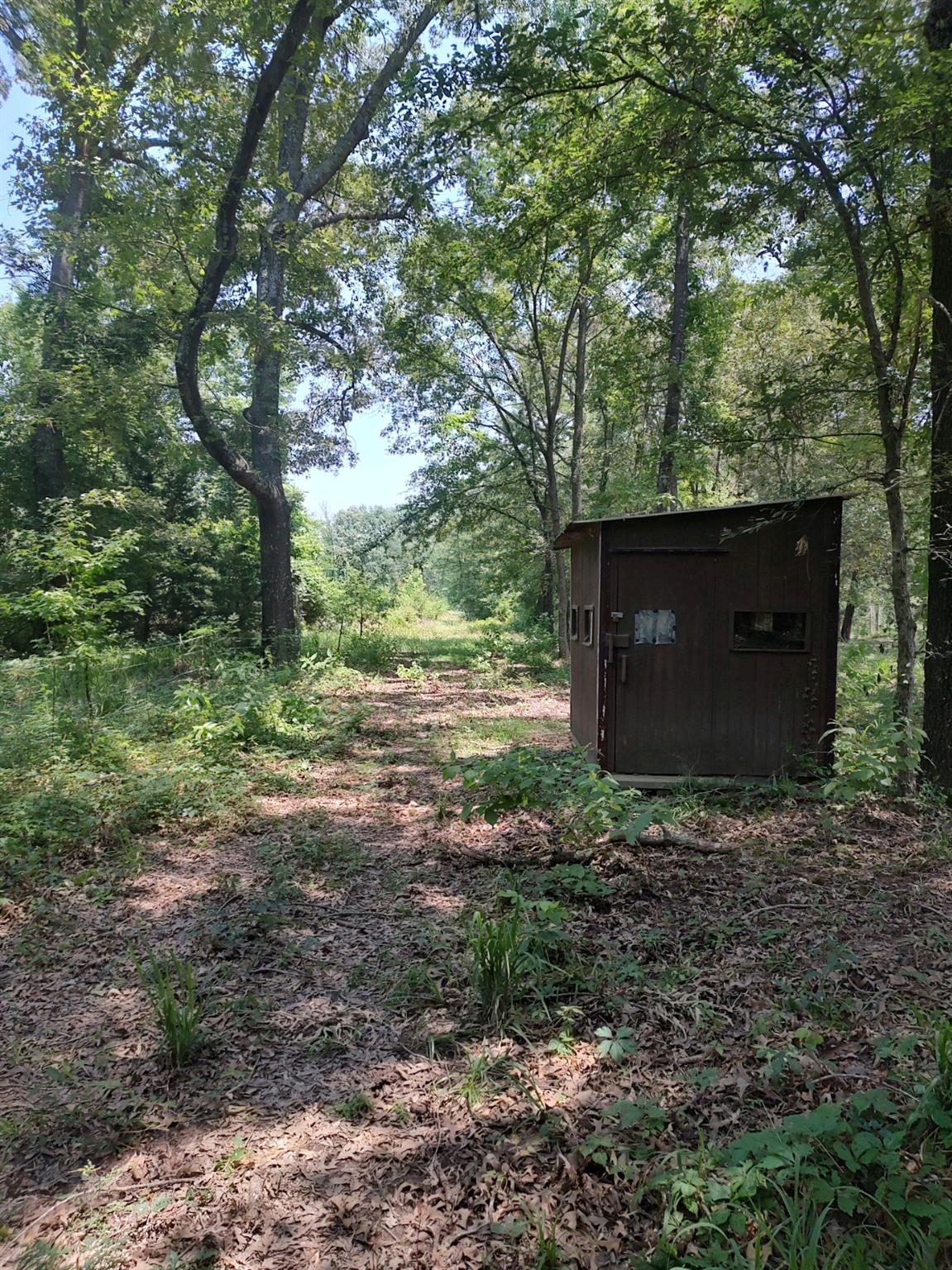 main property photo 34