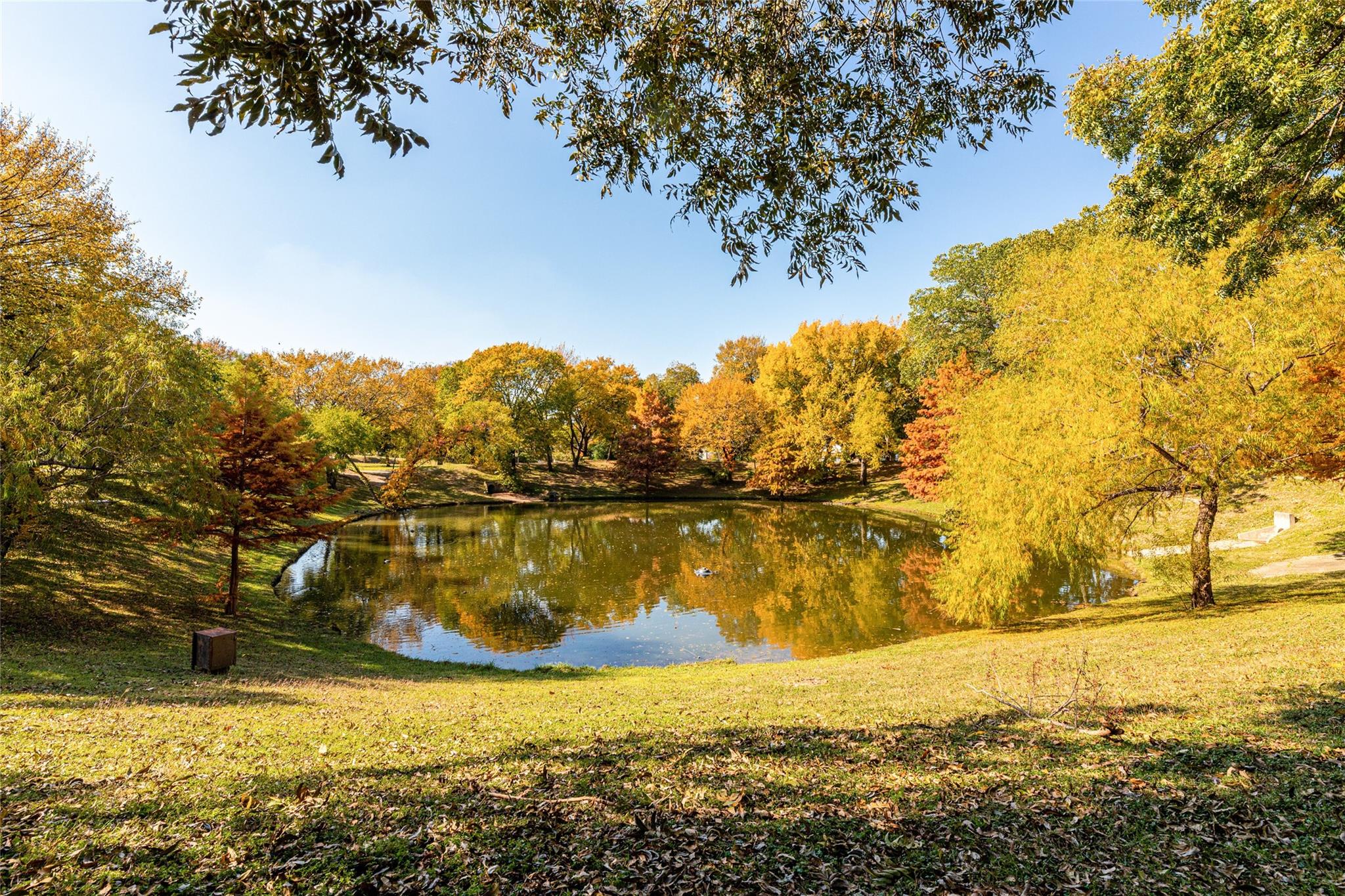 main property photo 39
