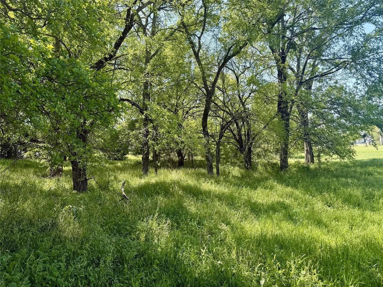main property photo 4