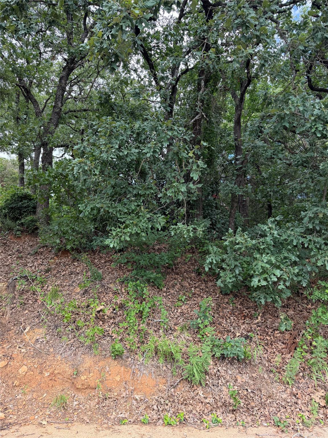 main property photo 21